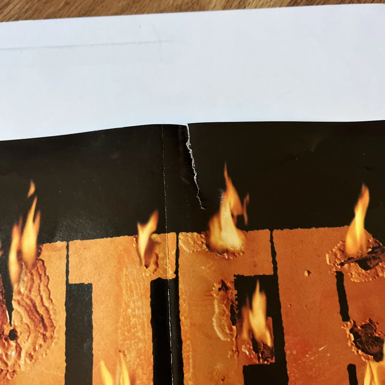 Pantera Reinventing The Steel Vintage Original Y2K Poster, image 3