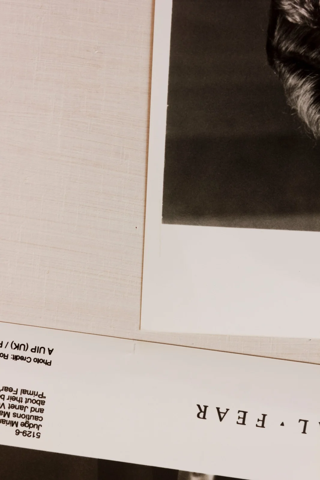 Primal Fear - 4 Film Stills - Richard Gere Ed Norton Laura Linney Legal Thriller, изображение 3
