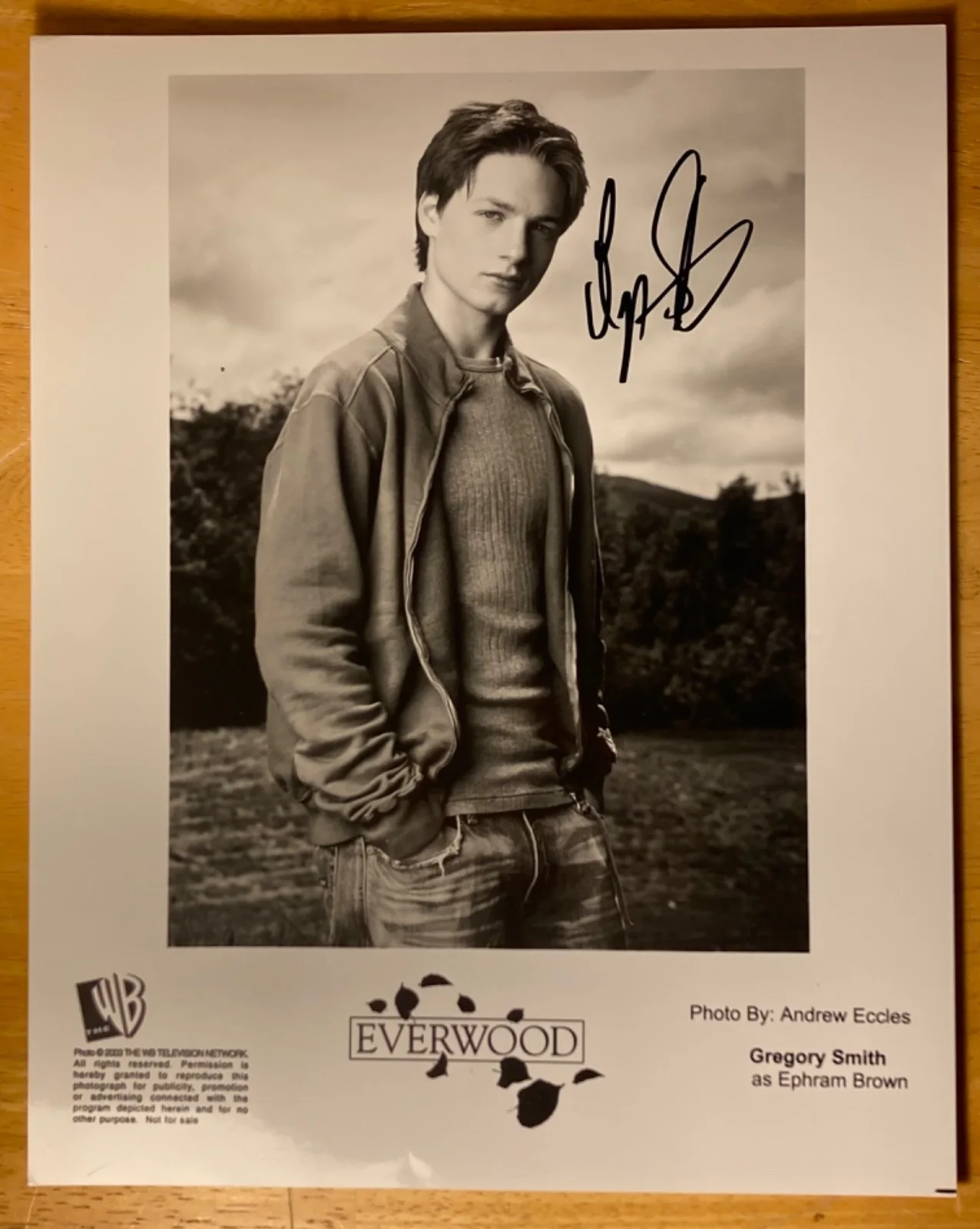 Hand SIGNED Gregory Smith 8x10 Everwood Press Promo Photo (2003 The WB TV Networ, image 2