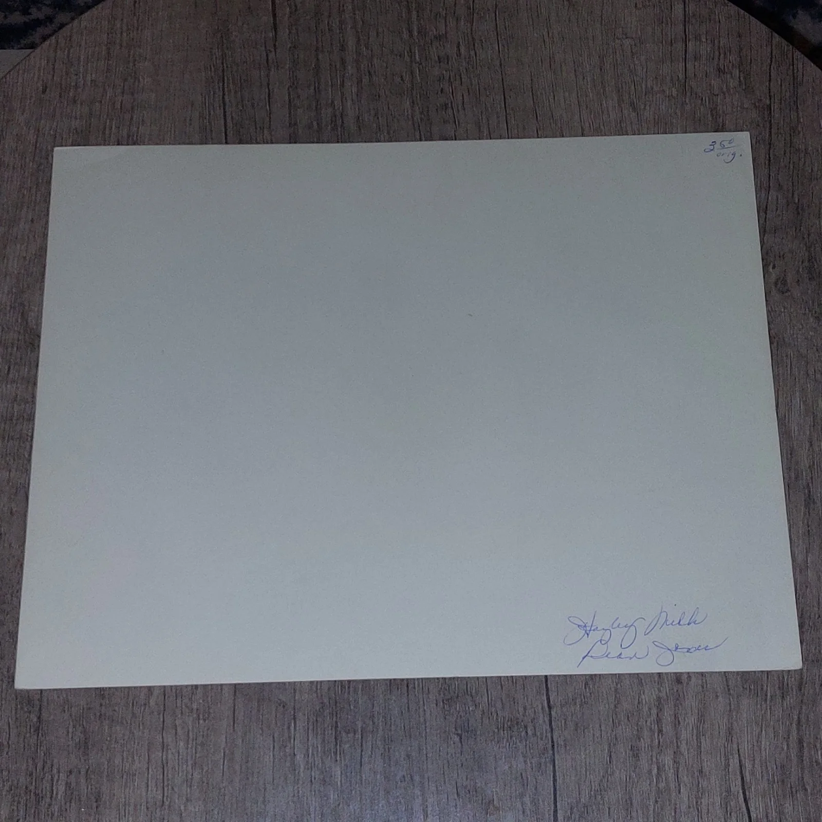 Vintage 1964 Walt Disney That Darn Cat Still Hayley Mills Dean Jones Siamese Cat, изображение 2