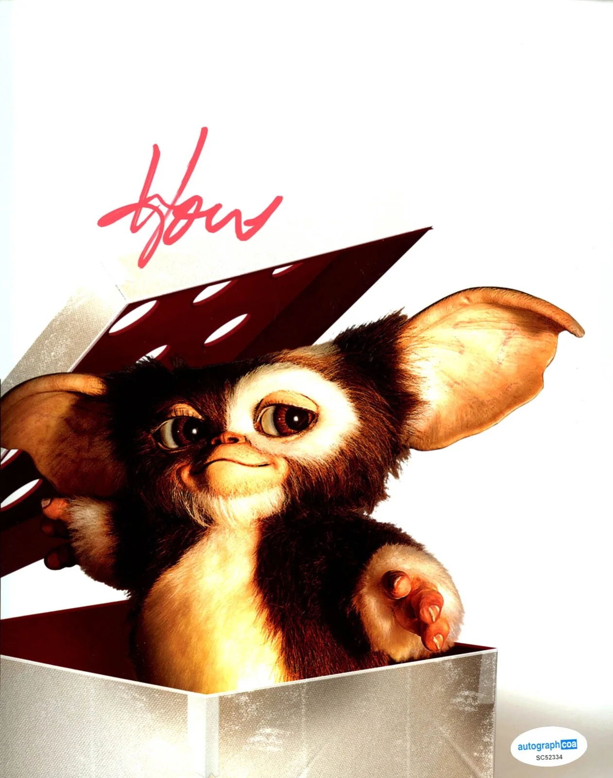 HOWIE MANDEL — Howie Mandel signed "GREMLINS" 8x10 Photo EXACT PROOF Autograph e Gizmo ACOA COA, image 4
