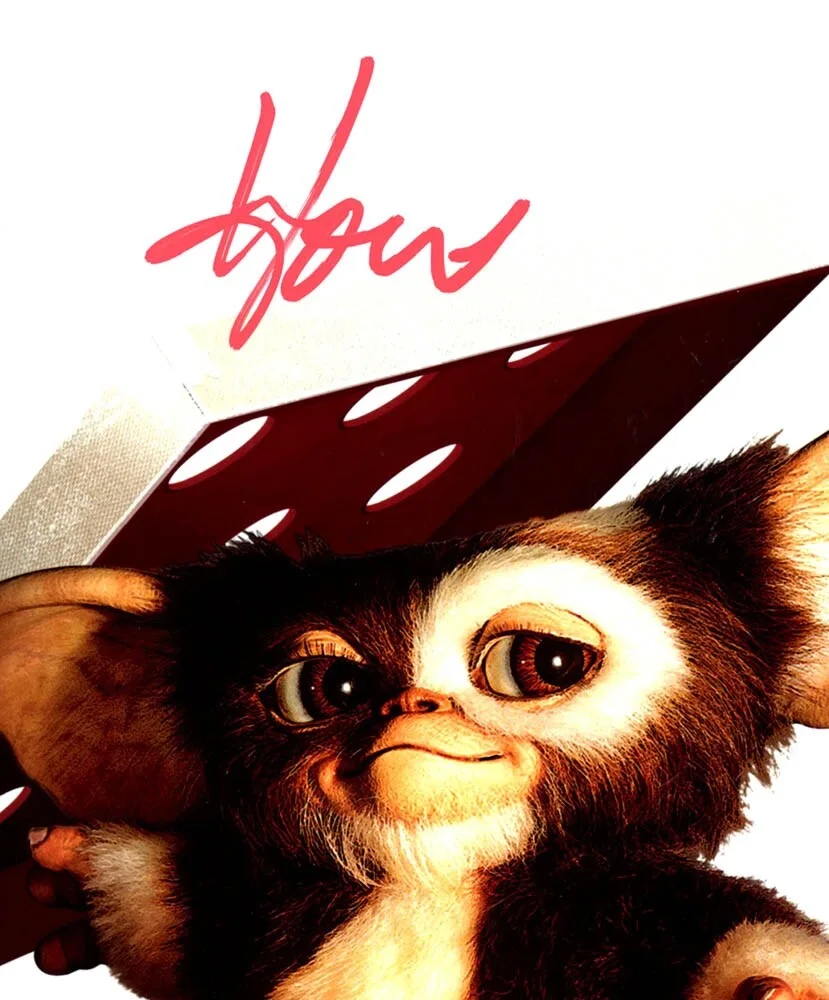 HOWIE MANDEL — Howie Mandel signed "GREMLINS" 8x10 Photo EXACT PROOF Autograph e Gizmo ACOA COA, image 5