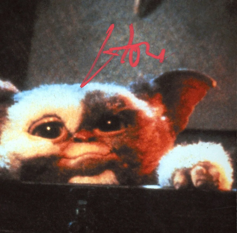 HOWIE MANDEL — Howie Mandel signed "GREMLINS" 8x10 Photo EXACT PROOF Autograph d Gizmo ACOA COA, изображение 5
