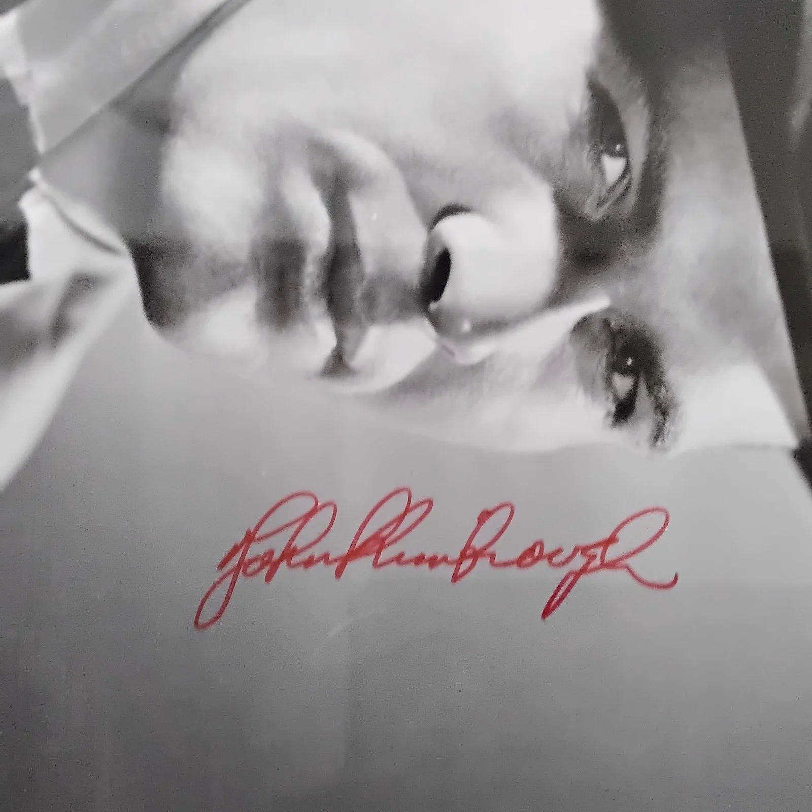 John Kimbrough SIGNED 8x10 Photo 40s Movie Actor Football Player Sundown Jim, изображение 5