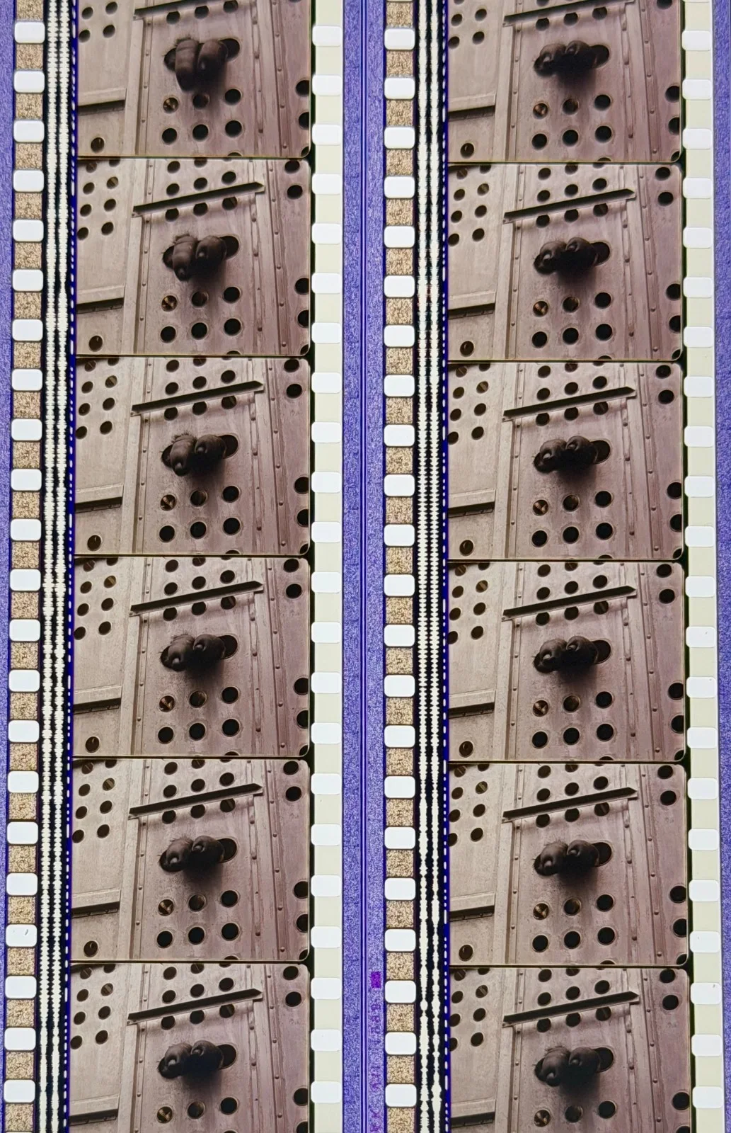 Mighty Joe Young 1998 Very Rare Unmounted Genuine 35mm Film Cells, изображение 3