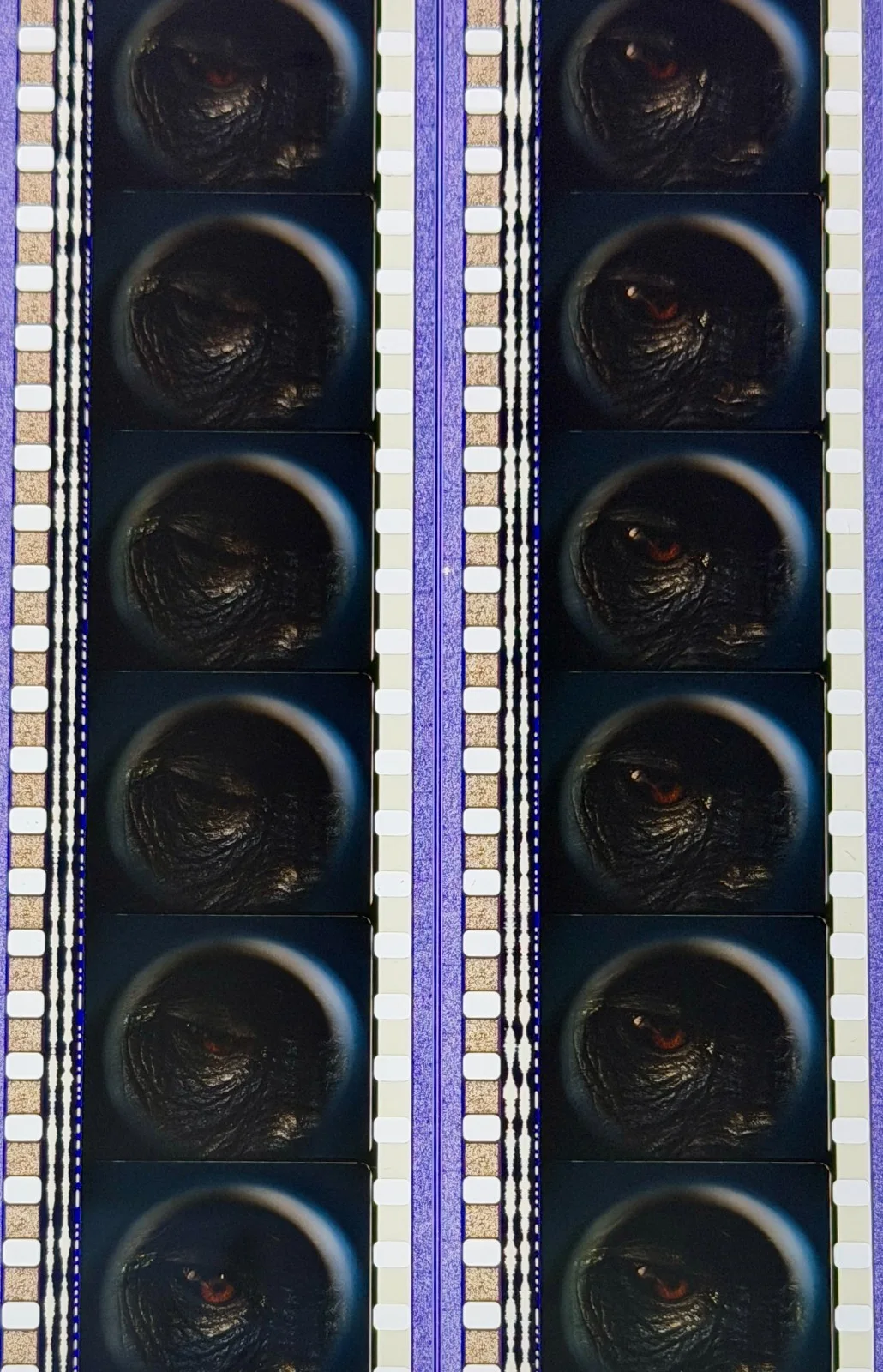 Mighty Joe Young 1998 Very Rare Unmounted Genuine 35mm Film Cells, изображение 5