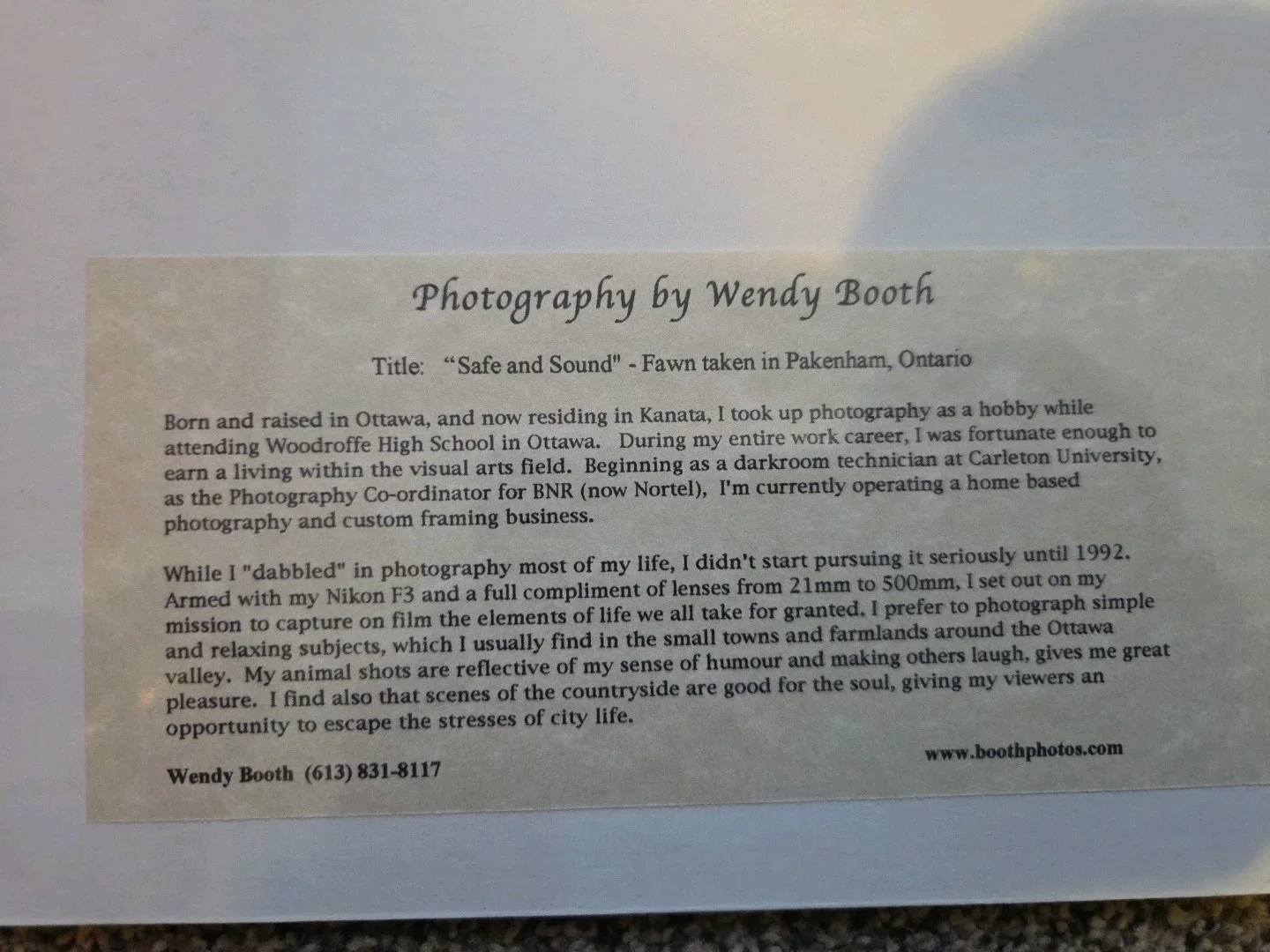 Fawn Deer Photograph On Matt 4 X 6 Matted To 8 X 10 Wendy Booth Phitography, image 3