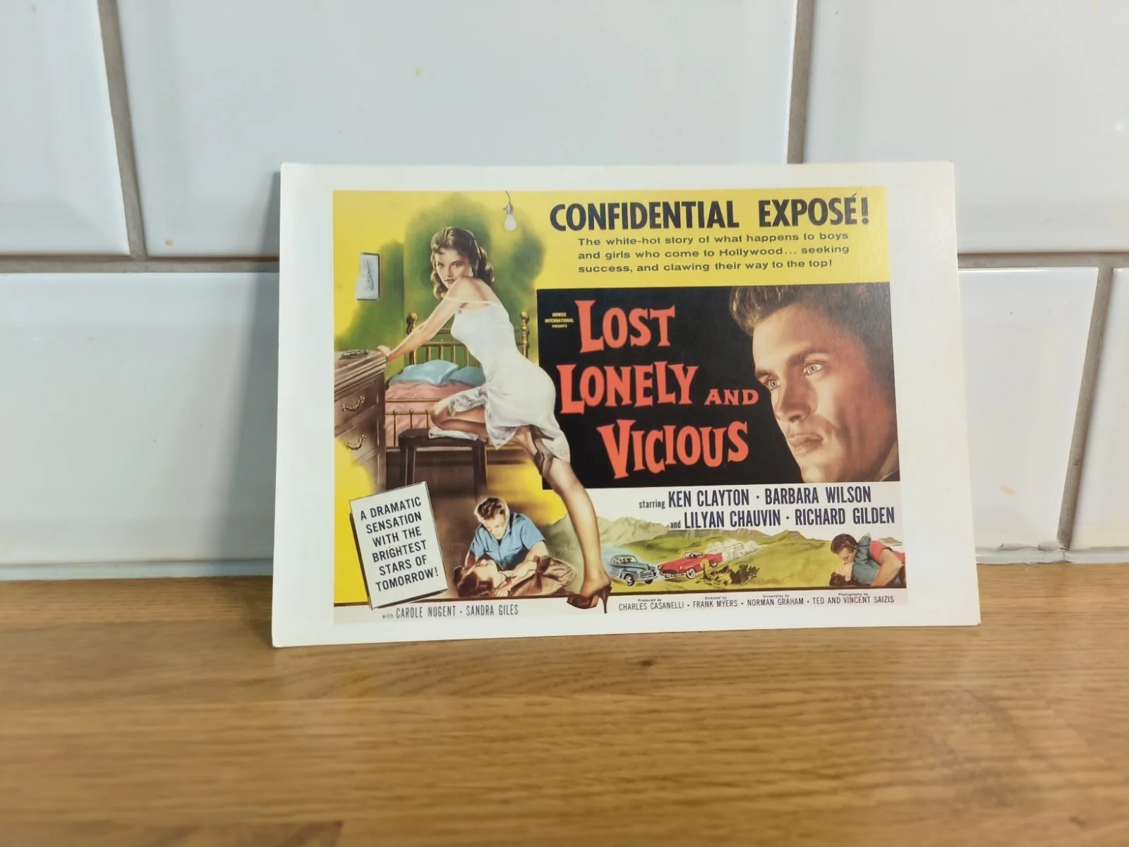 Lost, Lonely & Vicious – Vintage Movie Postcard – 1988 Print, изображение 2