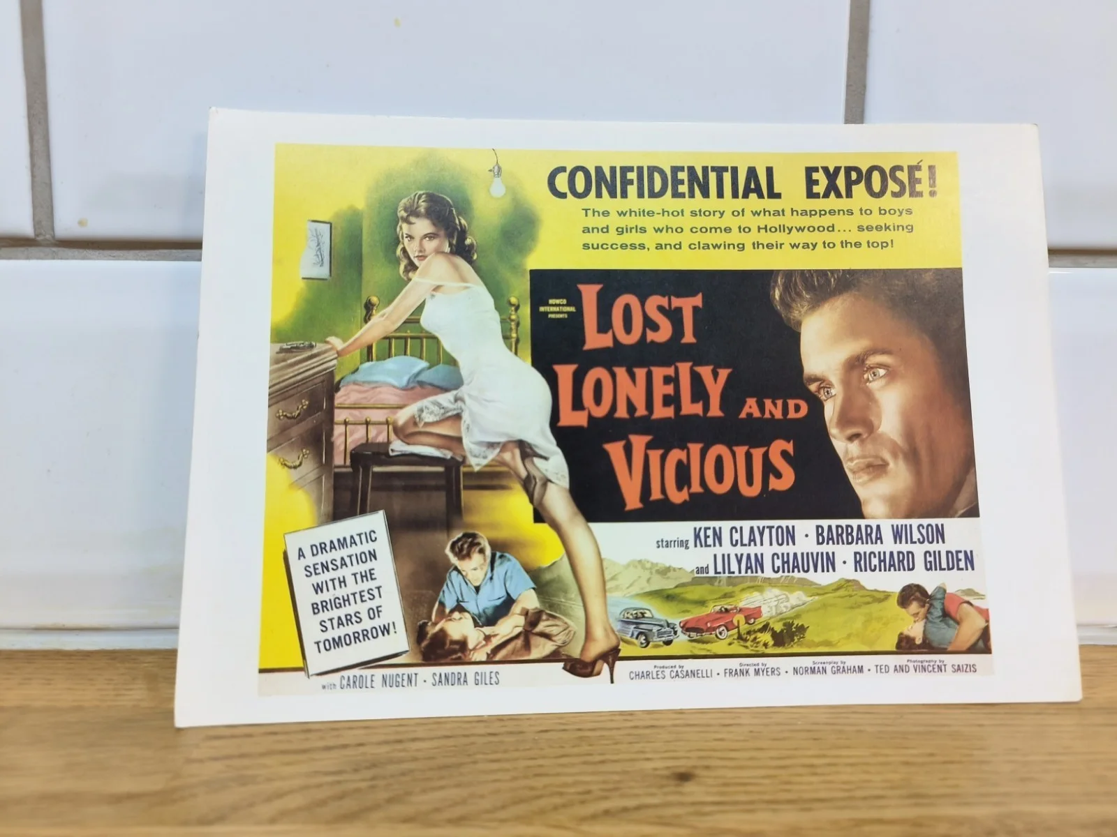 Lost, Lonely & Vicious – Vintage Movie Postcard – 1988 Print, изображение 3