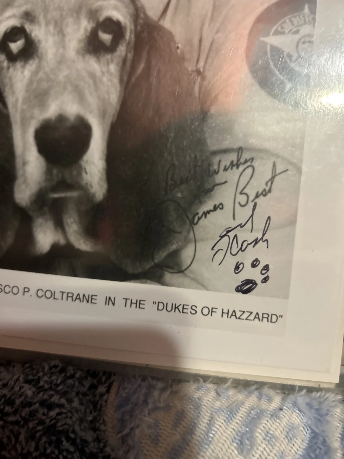 James Best — James Best Dukes Of Hazzard Original Autographed 8 X 10 Black-And-White Photo, изображение 4