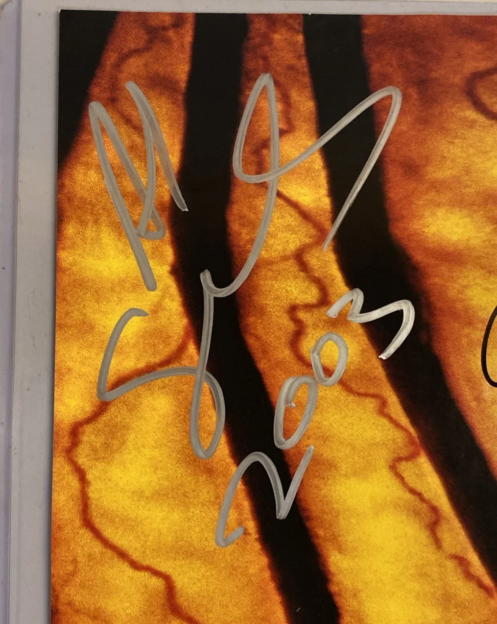 Johnathan Breck — JEEPERS CREEPERS 2 -Cast Signed 2003 Promotional 12x19 Poster *Jonathan Breck, image 5