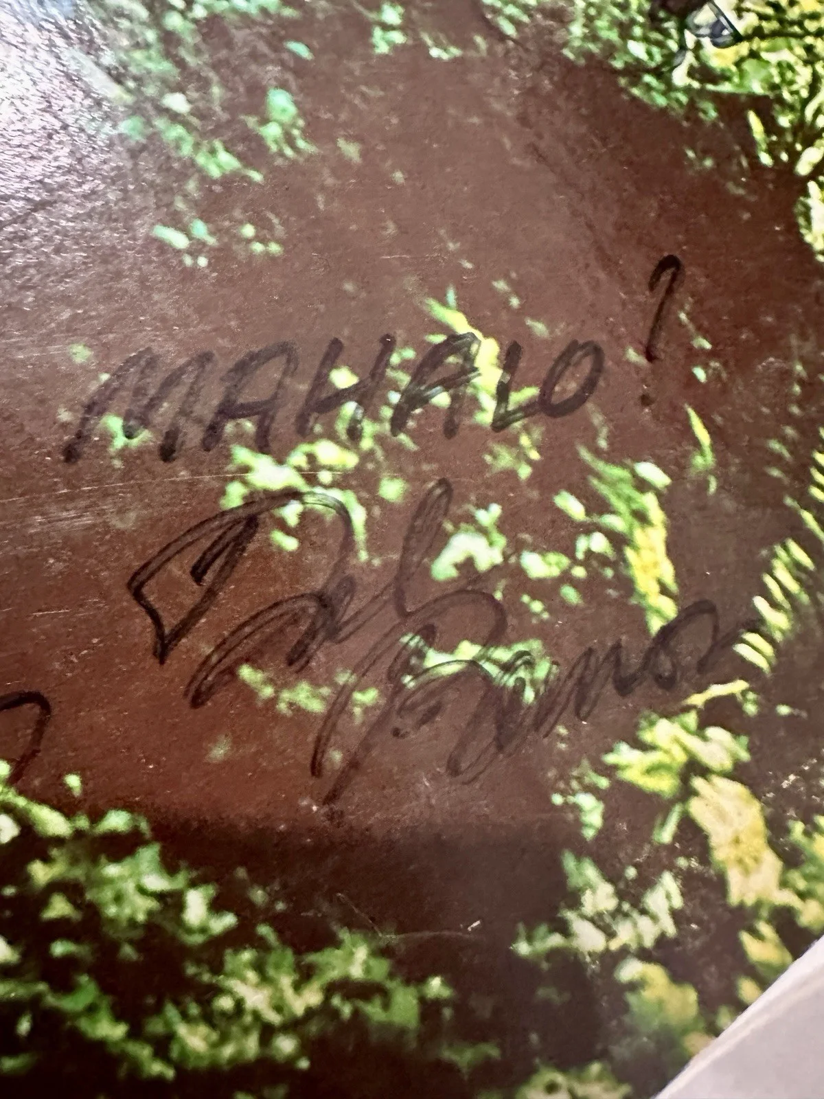 The Association Autographed “GREATEST HITS” Vinyl Record Signed By All Members!, image 2