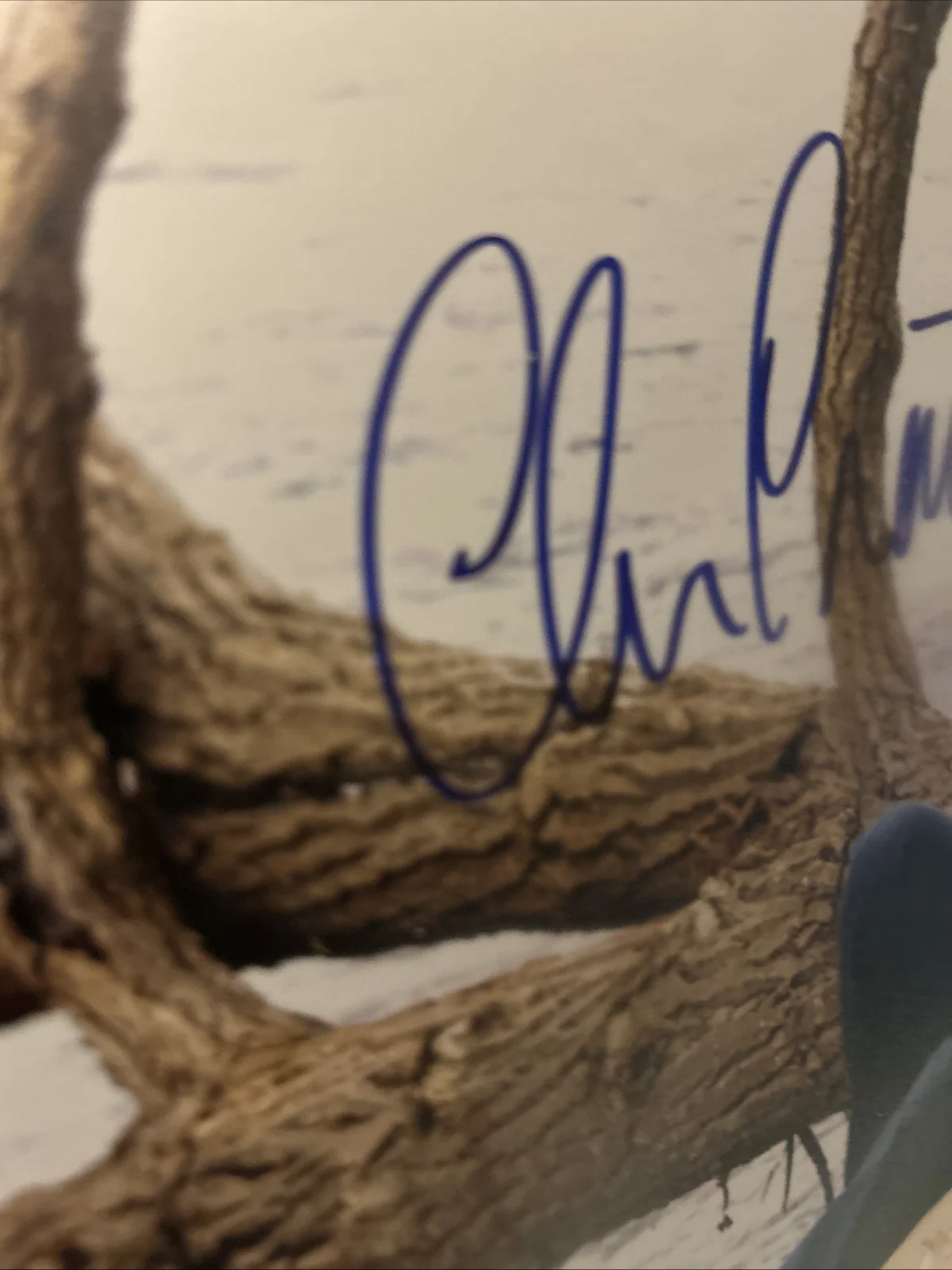 Chris Pratt — Chris Pratt Autographed 8 X 10 Color Photo Original Authentic, image 3