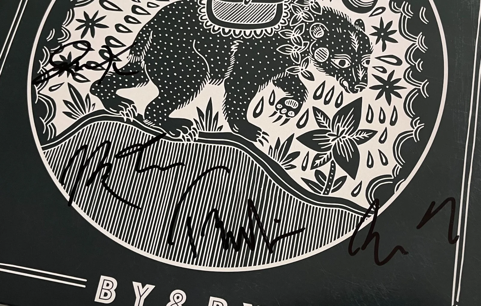CAAMP BAND SIGNED AUTOGRAPH BY & BY VINYL ALBUM LP TAYLOR MEIER +4 w/EXACT PROOF, изображение 3