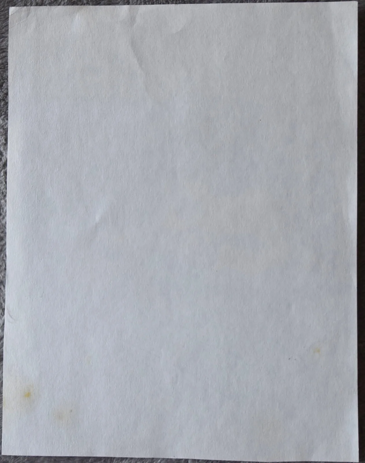 Alejandro Gonzalez Inarritu Hand Signed Paper, image 3