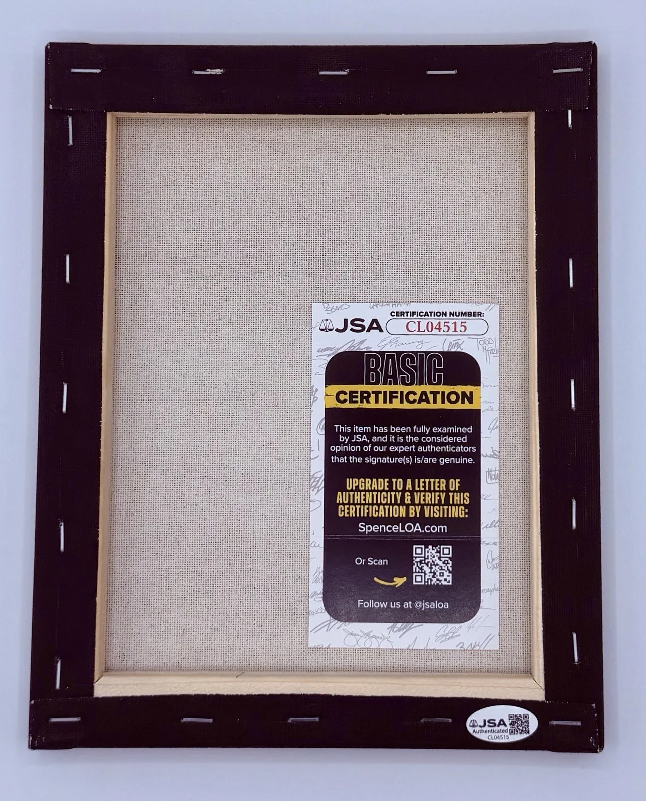 Descendents Hand Drawn Milo Sketch On Canvas Autographed JSA COA 8 X 10, image 2