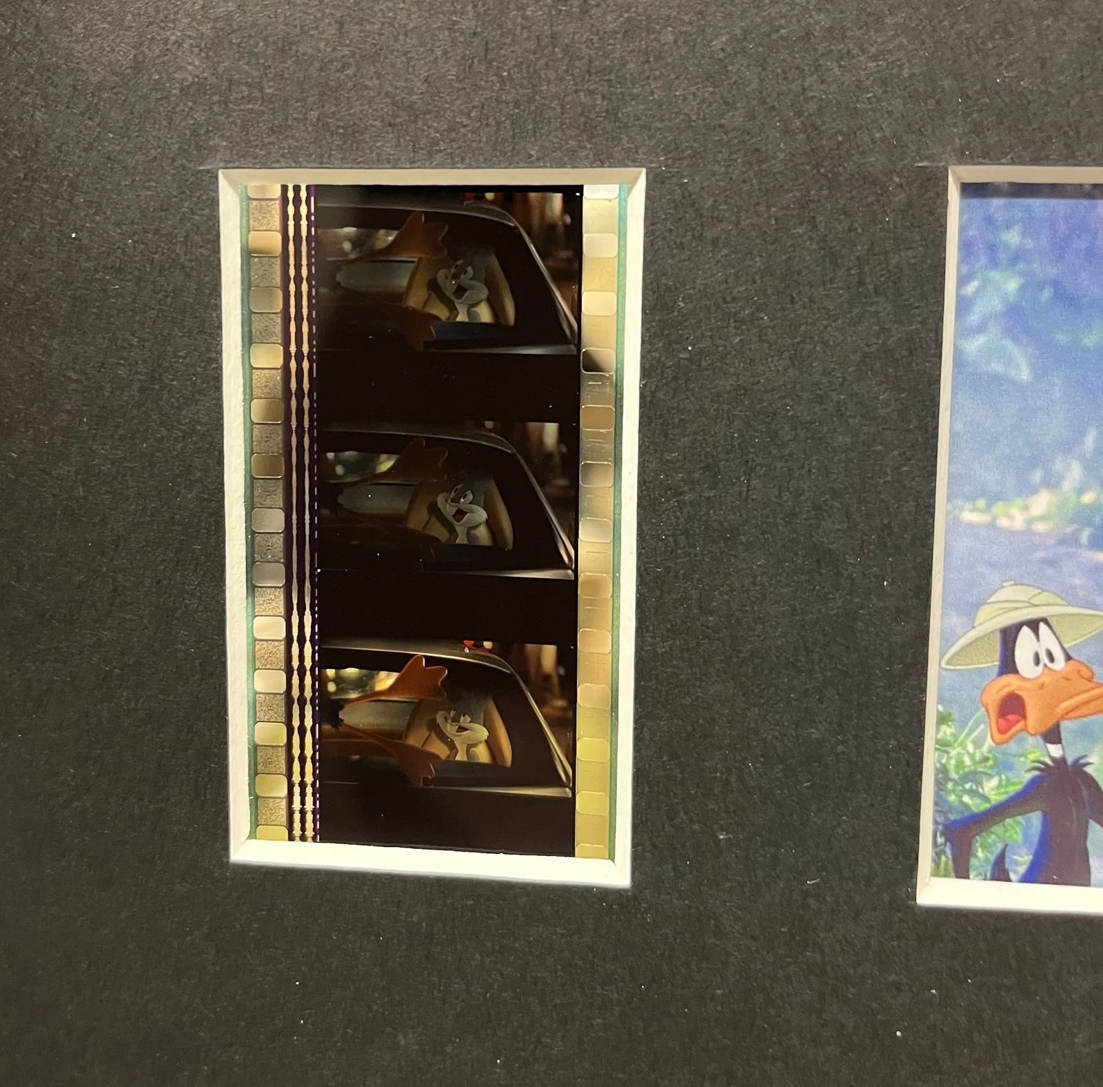 LOONEY. TUNES. Back in Action. . 35mm Film Cell Mounted Display, изображение 2