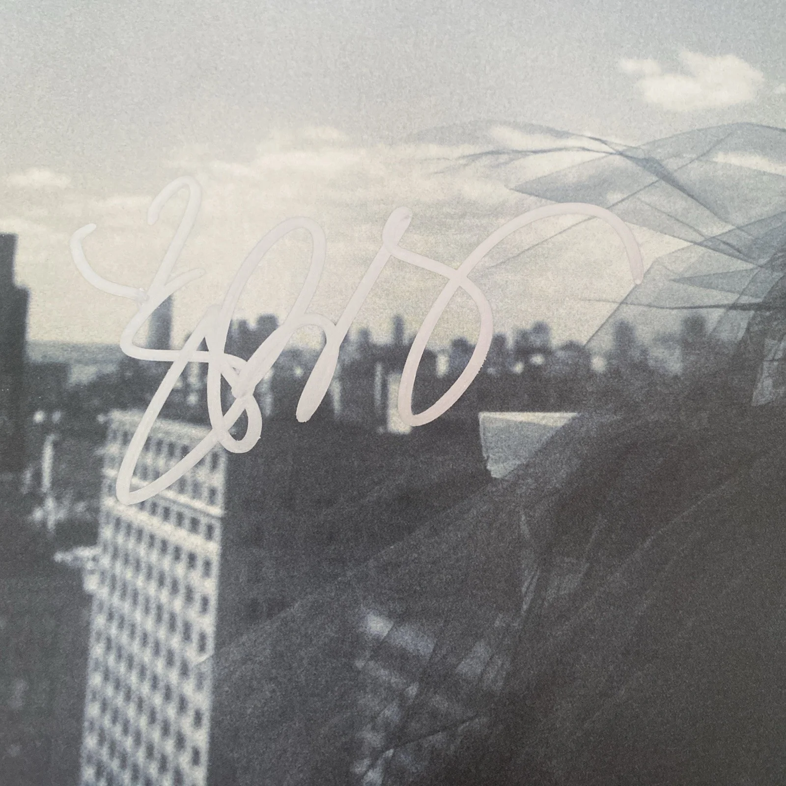 Sara Bareilles Autographed The Blessed Unrest Vinyl Record, image 2