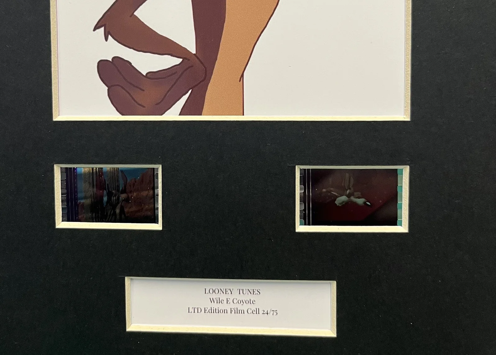 LOONEY TUNES. Wile E. Coyote. 35mm Film Cell Mounted Display, изображение 2