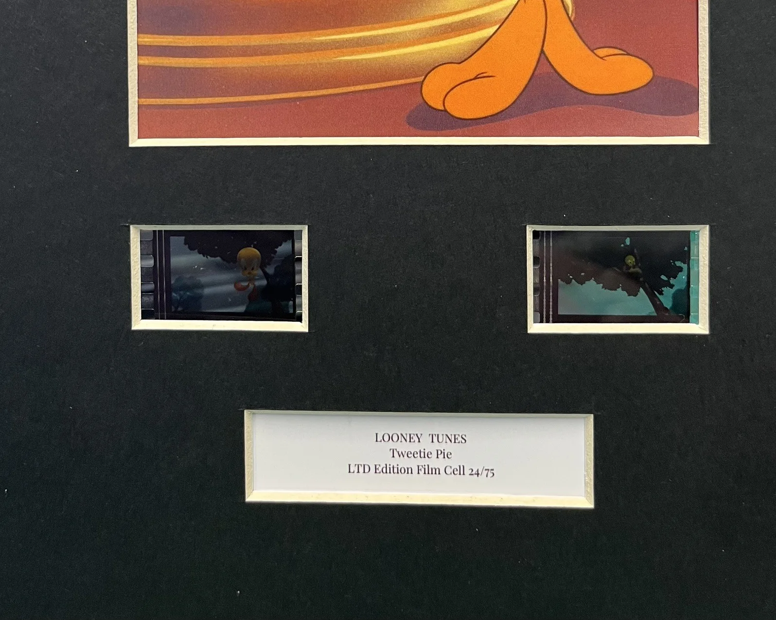 LOONEY TUNES. Tweetie Pie. 35mm Film Cell Mounted Display, image 3