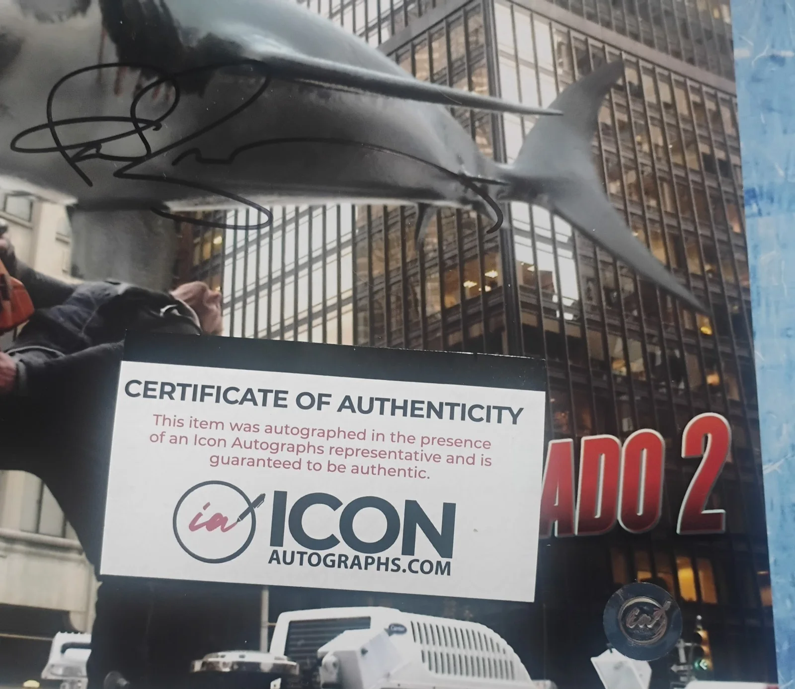 Ian Ziering Hand Signed Autograph 8x10 Photo COA Sharknado NO US TARIFFS, image 4
