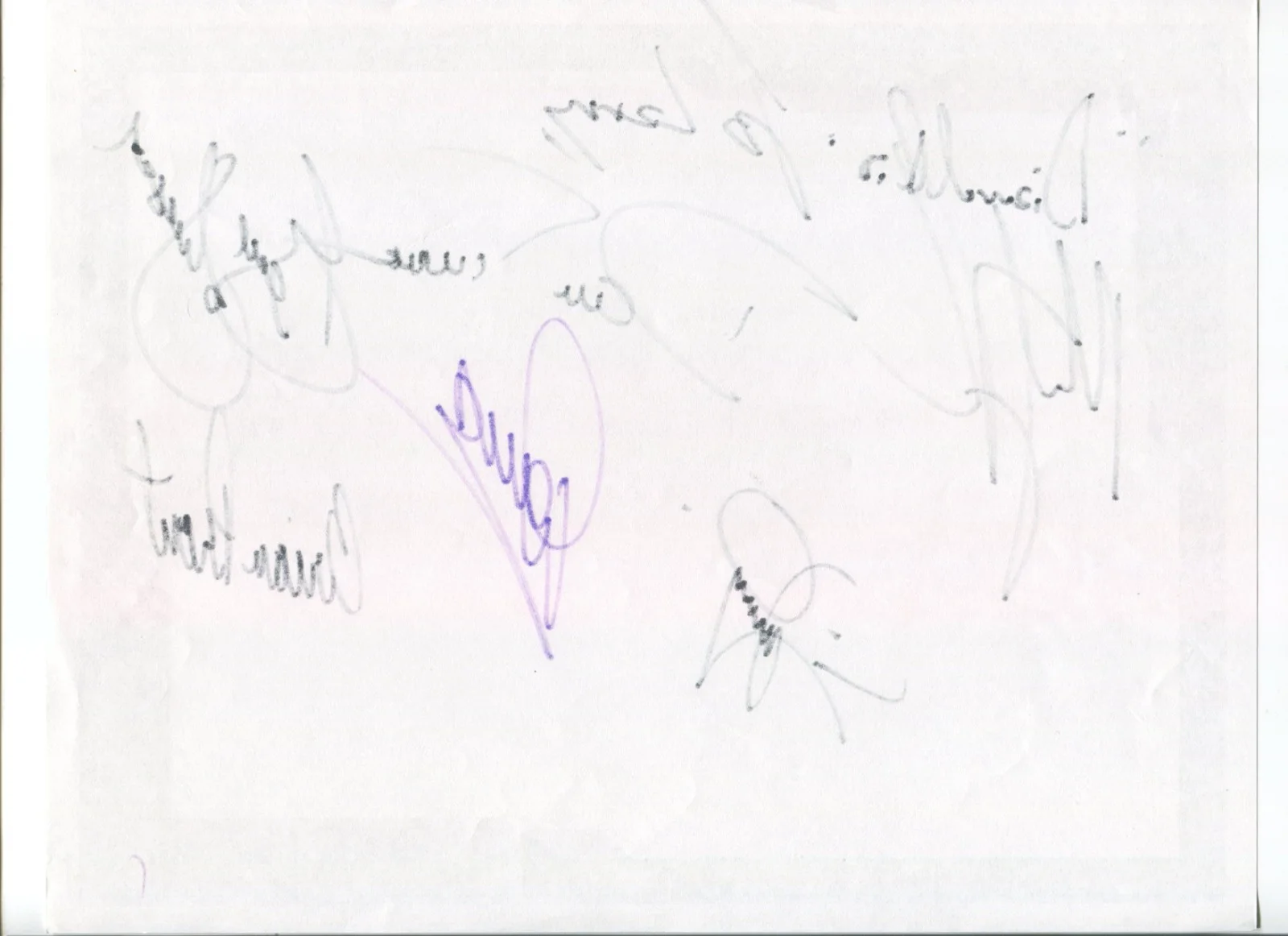 Diamond Rio Full Band Signed 8.5 x 11 Inch Page Autographed Country Music, изображение 2