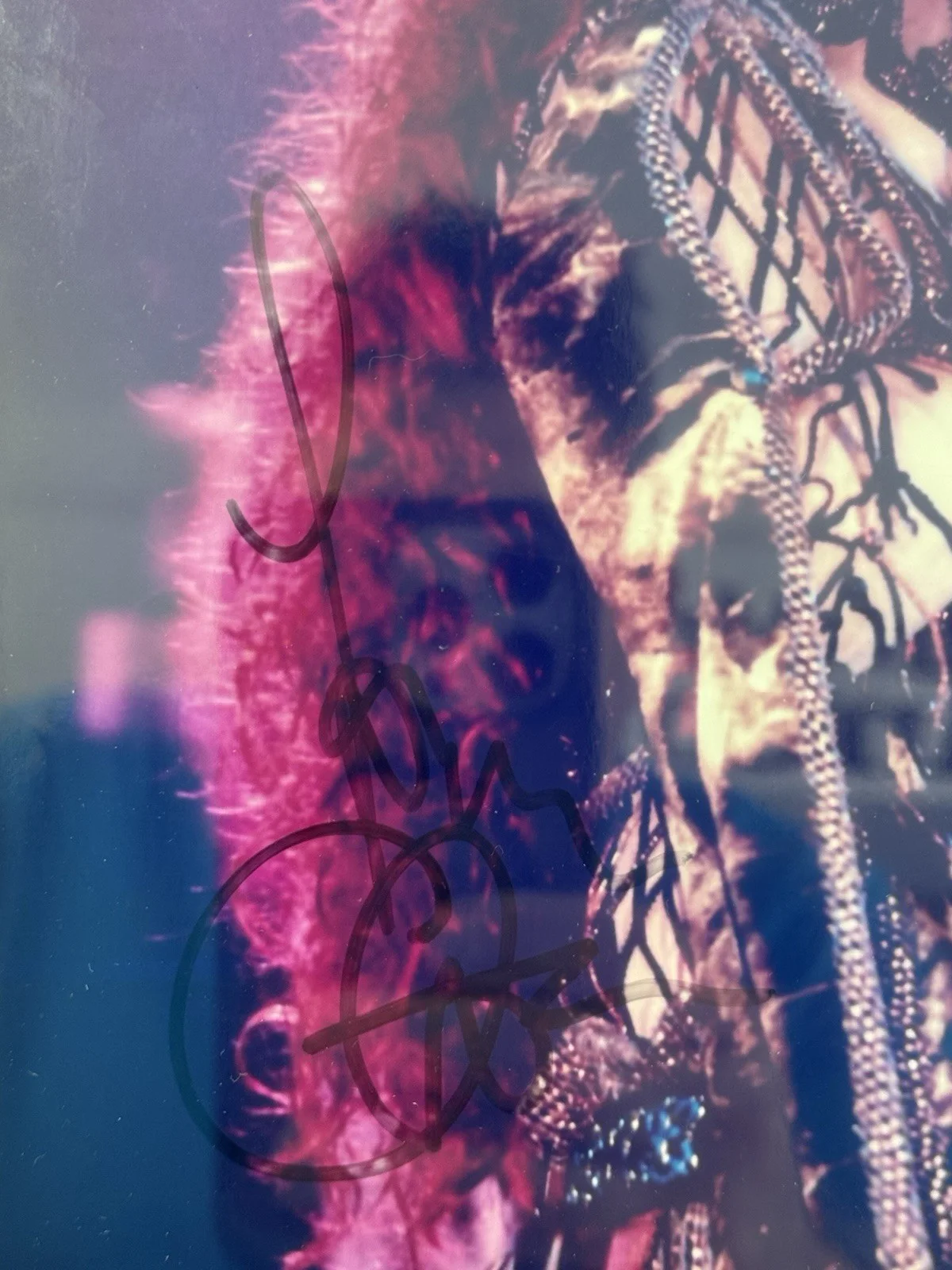 Cher Signed Photo With Worn Earrings, image 2