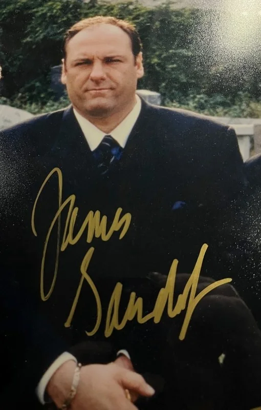 THE SOPRANOS CAST — The Sopranos Cast Signed 16x20 Photo ACOA COA Framed UV Museum Glass, изображение 4