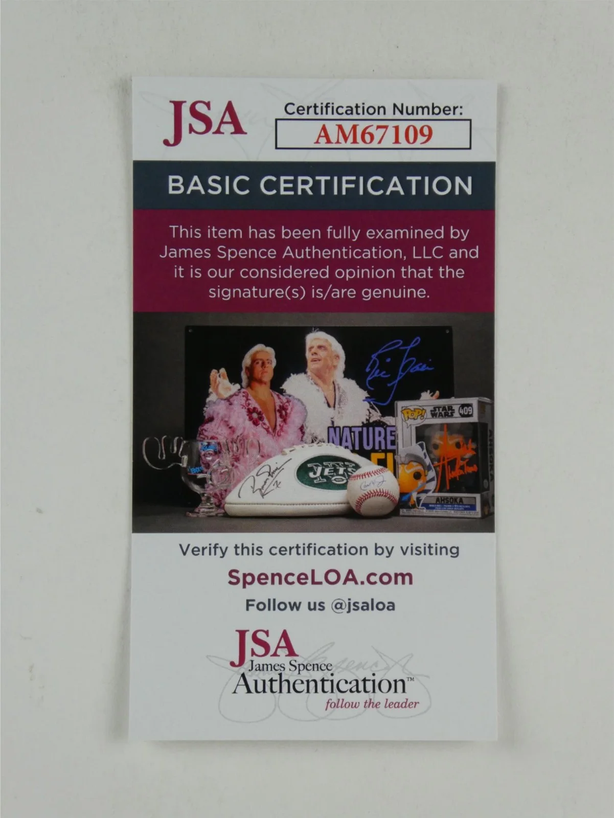 Patricia Velasquez — Patricia Velasquez Signed 3x5 Index Card Autographed The Mummy JSA COA, image 4