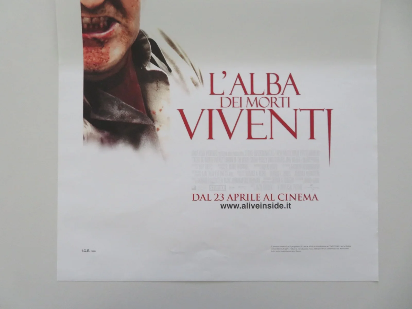 Dawn Of The Dead ITALIAN LOCANDINA POSTER SARAH POLLEY VING RHAMES 2004, изображение 4