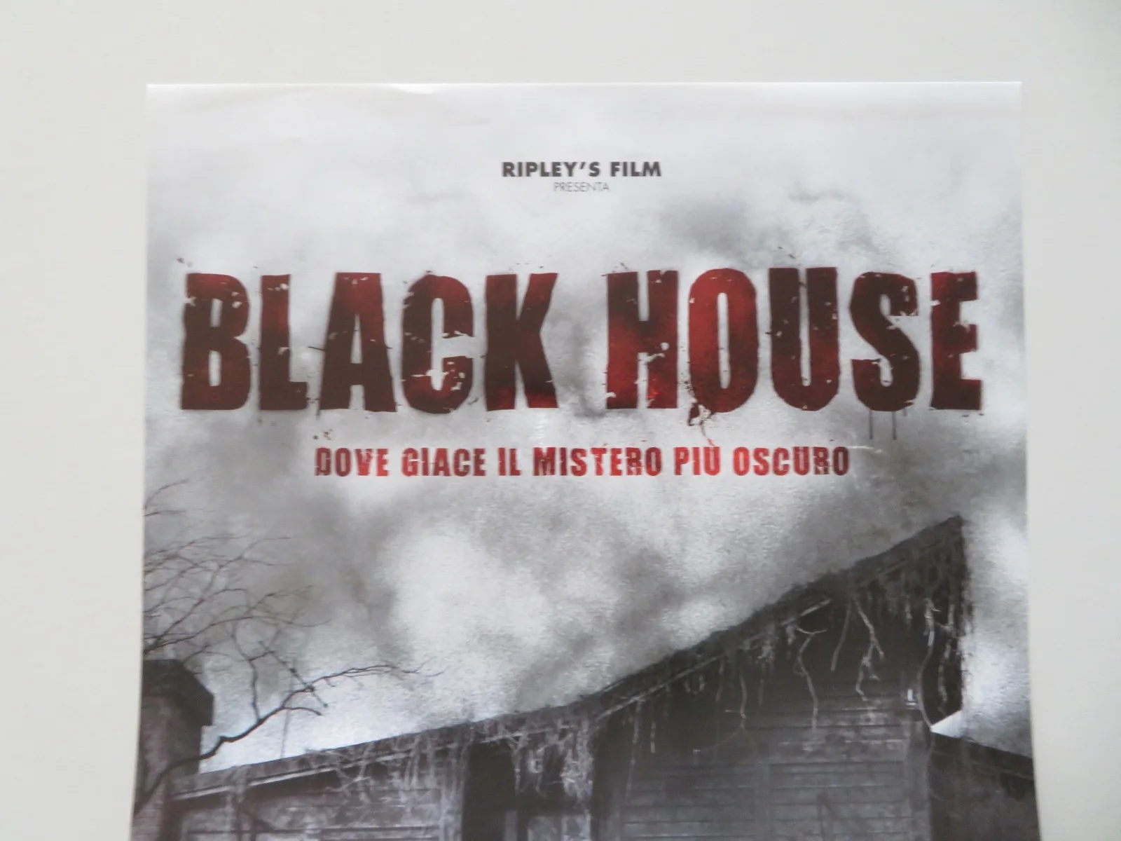Black House ITALIAN LOCANDINA POSTER HWANG JUNG-MIN YOO SEON 2007, изображение 2