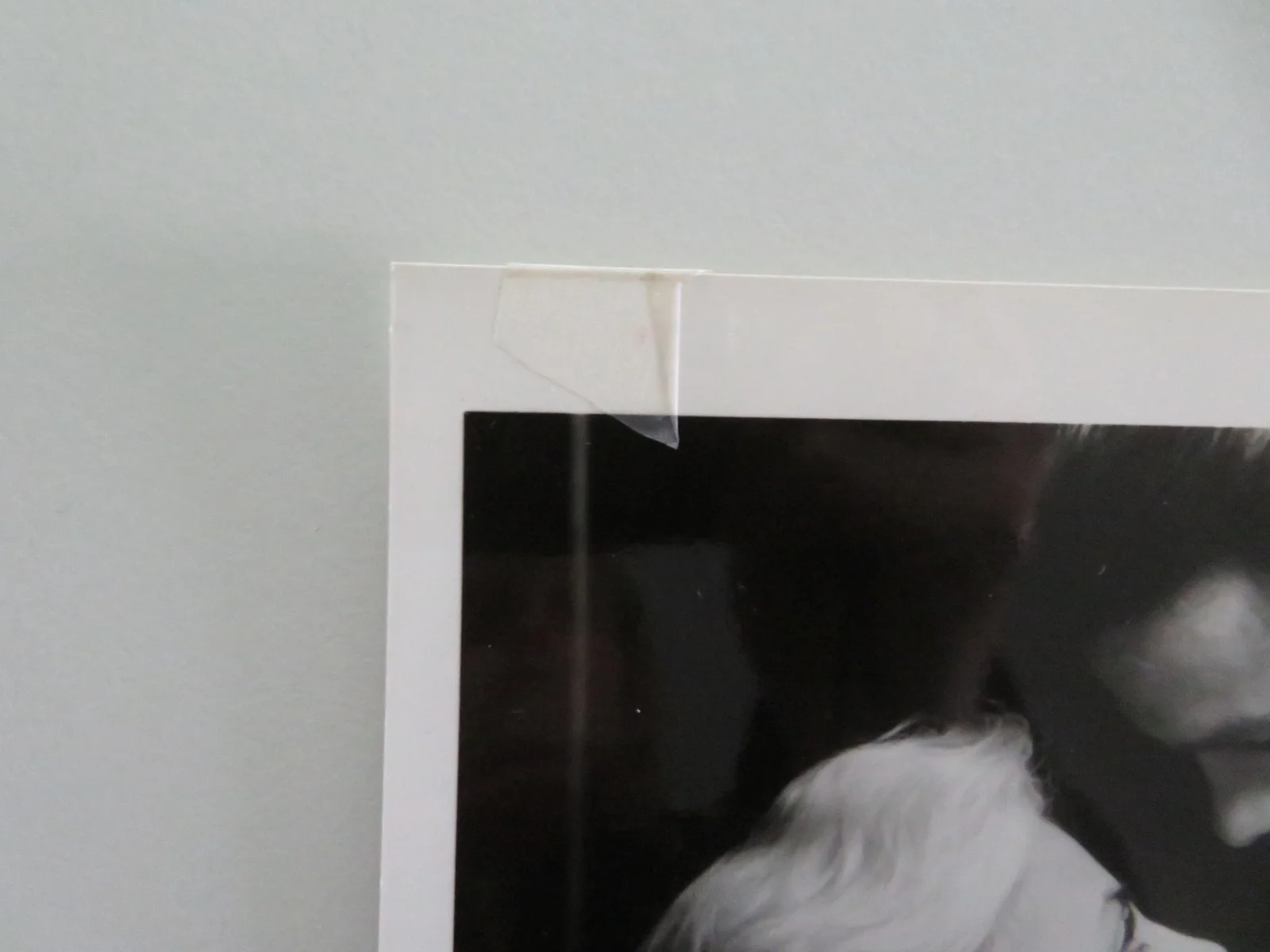 Two Moon Junction -C MOVIE STILL PHOTO LOT OF 2 SHERILYN FENN RICHARD TYSON 1988, изображение 5