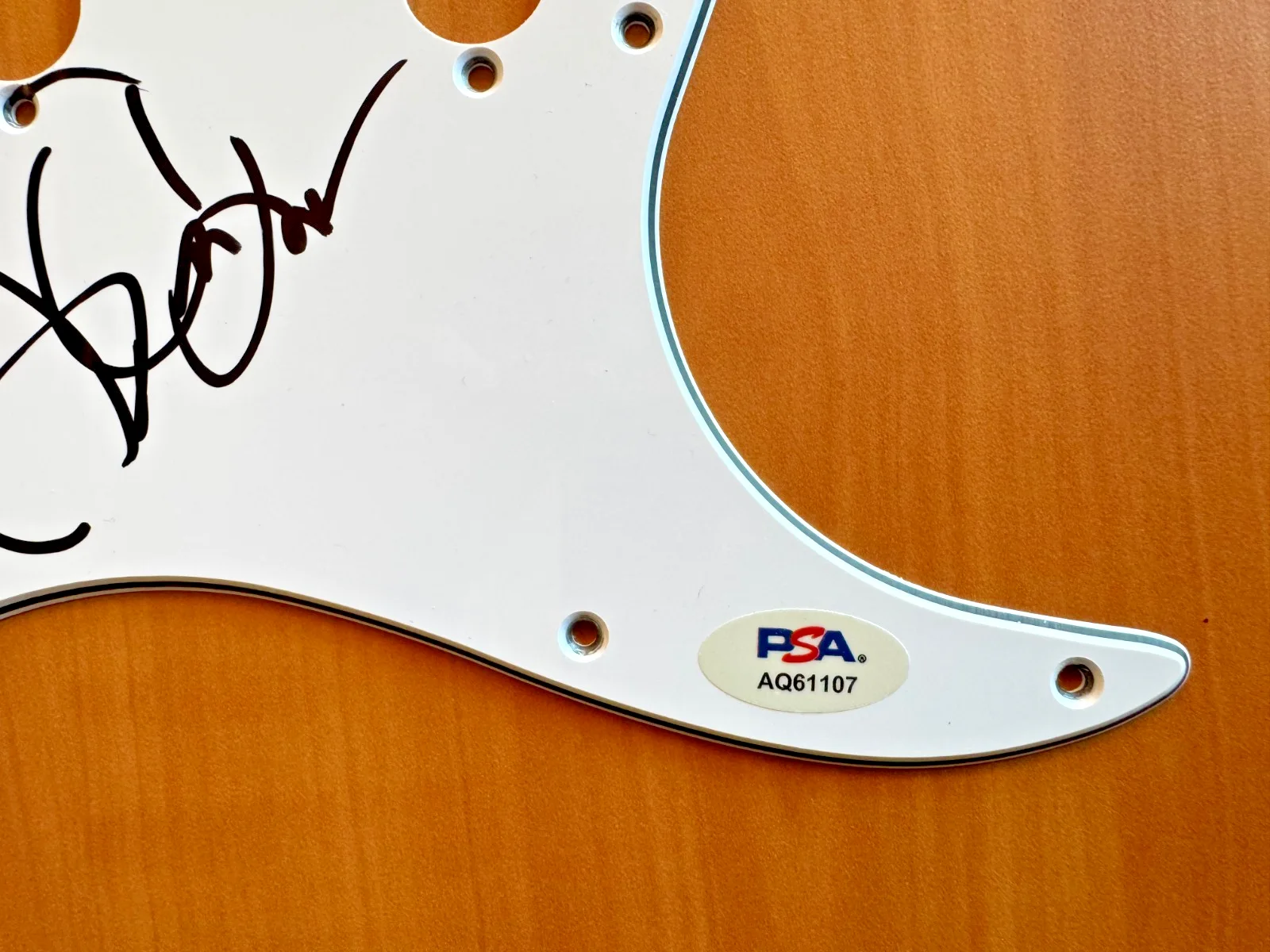 Adam Duritz David Bryson Counting Crows Signed Autographed Pickguard PSA/DNA COA, image 2