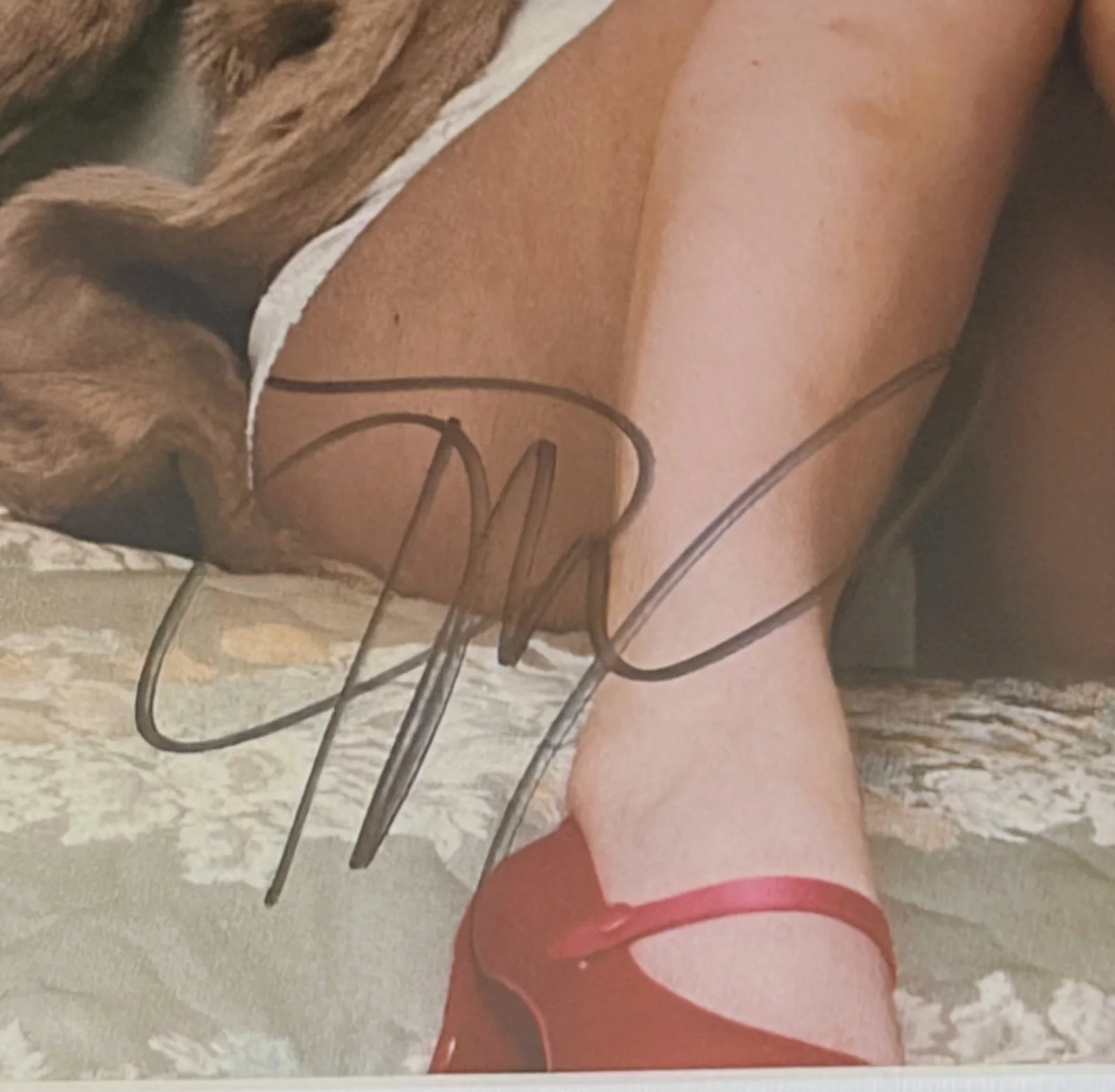 RENEE RAPP - BITE ME Signed / Autographed Framed CD display, image 4