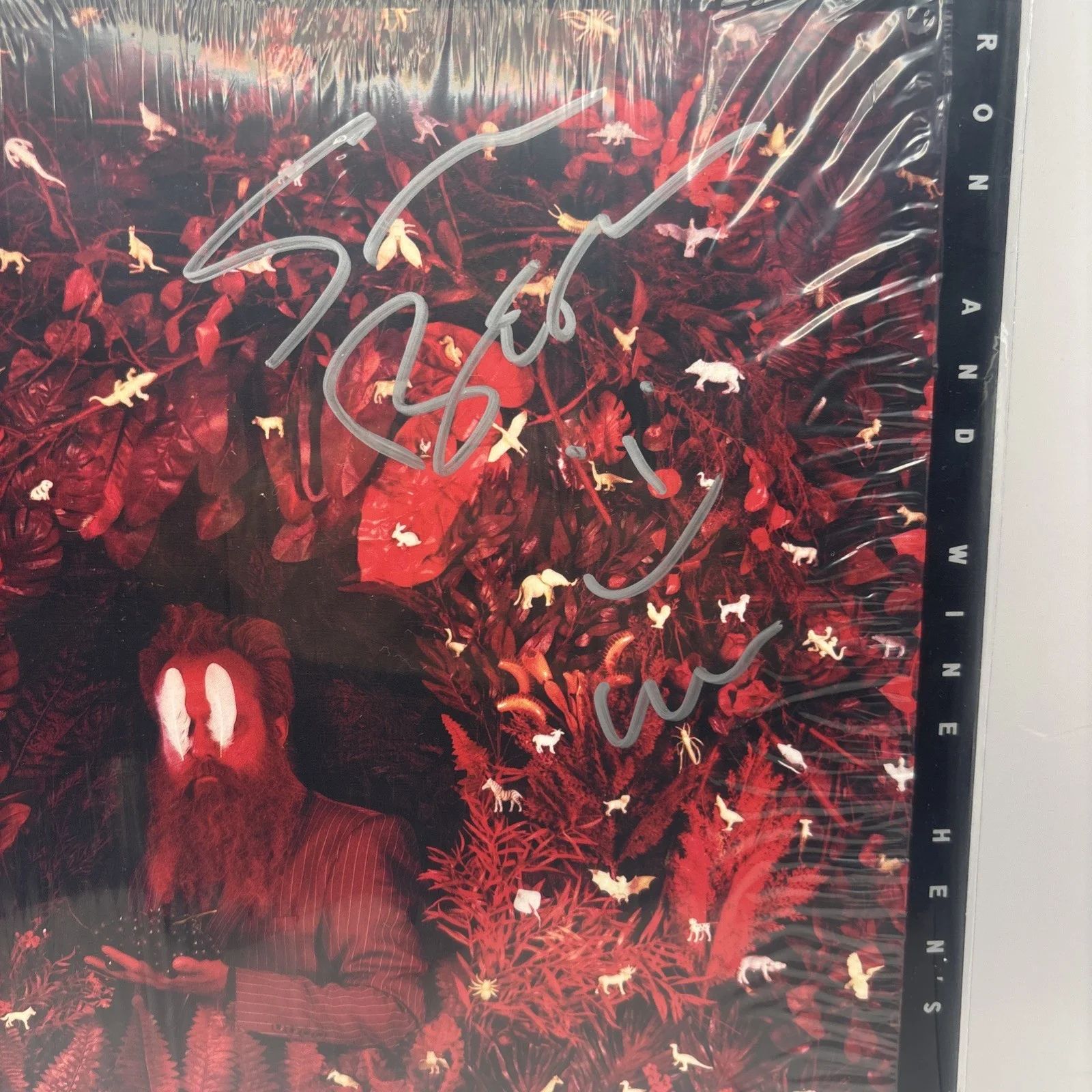 ✍️SIGNED Iron and Wine Hen’s Teeth AUTOGRAPHED Marble Vinyl LP 2026 Sam Beam 🆕, image 2