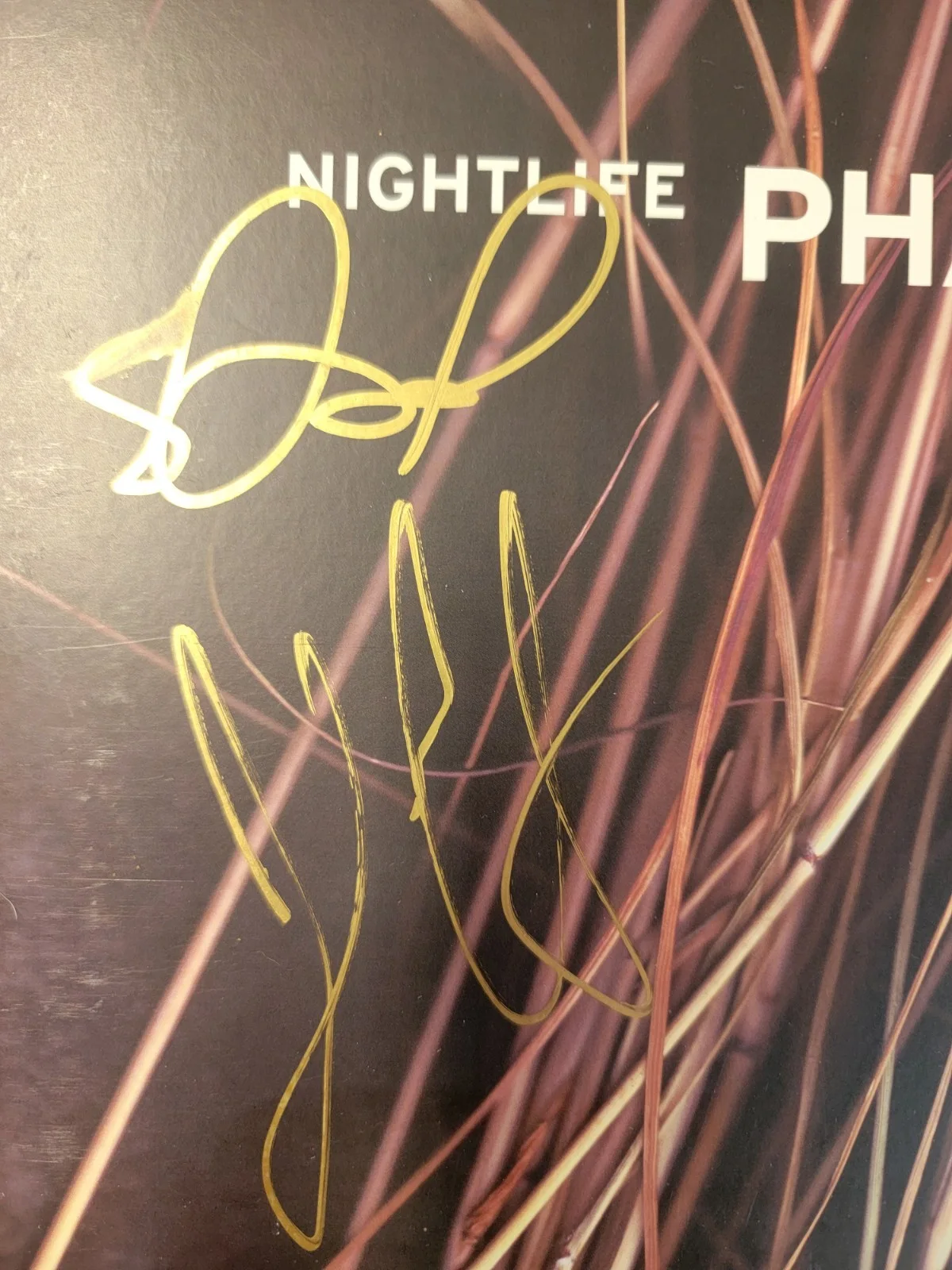 Phantogram Nightlife Signed Vinyl Record JSA Authenticated Original, image 2