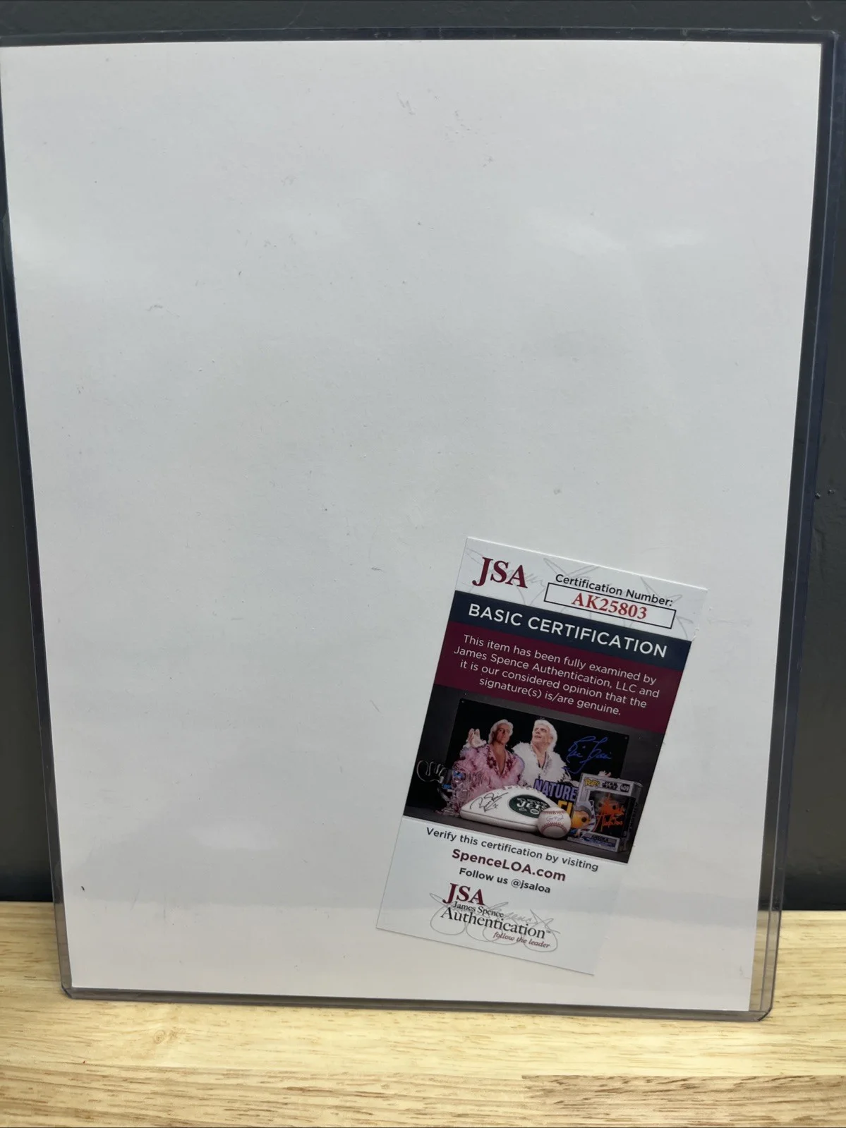 Tina Fey Autograph Picture - JSA Cert, image 2