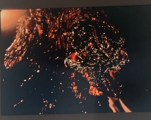 THE FLY 2 Daphne Zuniga Eric Stoltz John Getz 1989 35mm Publicity Slides x5, image 3