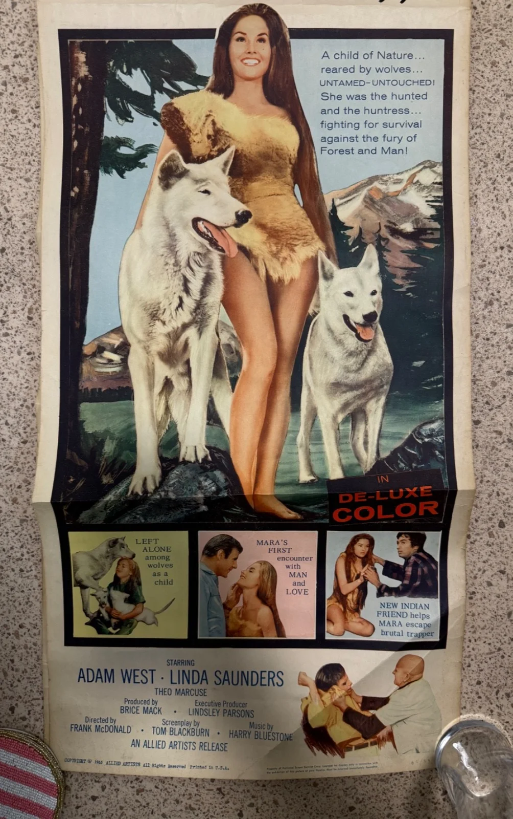 The Wonderful Adventures of Mara of the Wilderness Original Film Poster - 1965, изображение 4