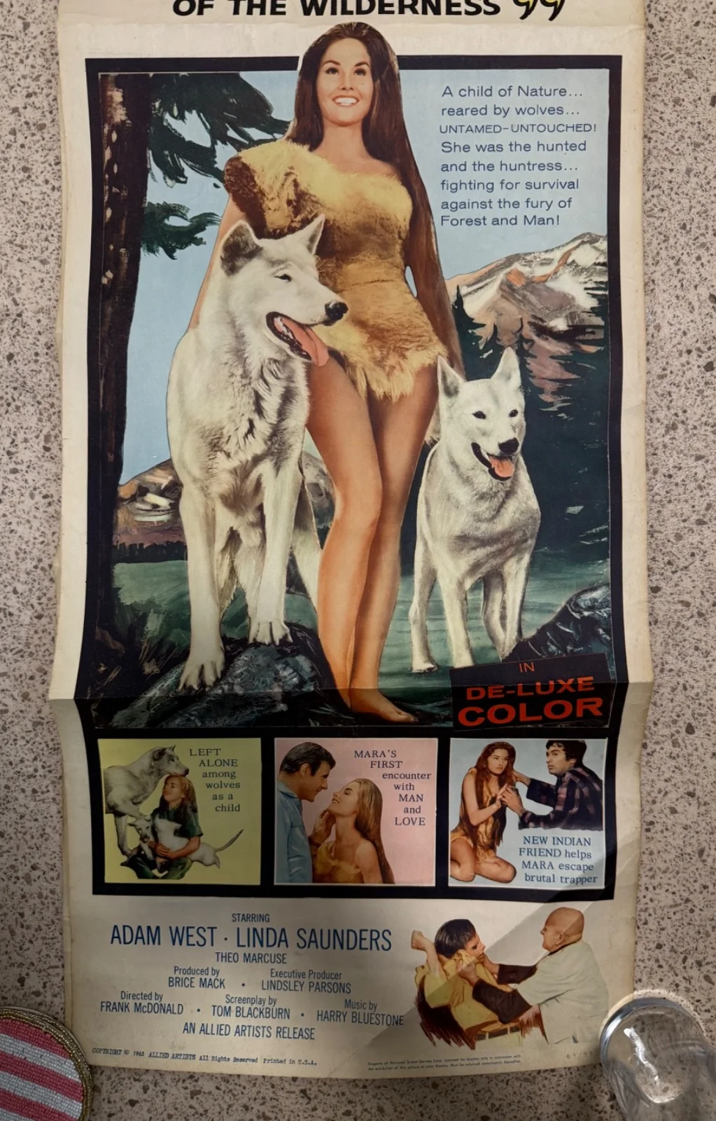 The Wonderful Adventures of Mara of the Wilderness Original Film Poster - 1965, изображение 5