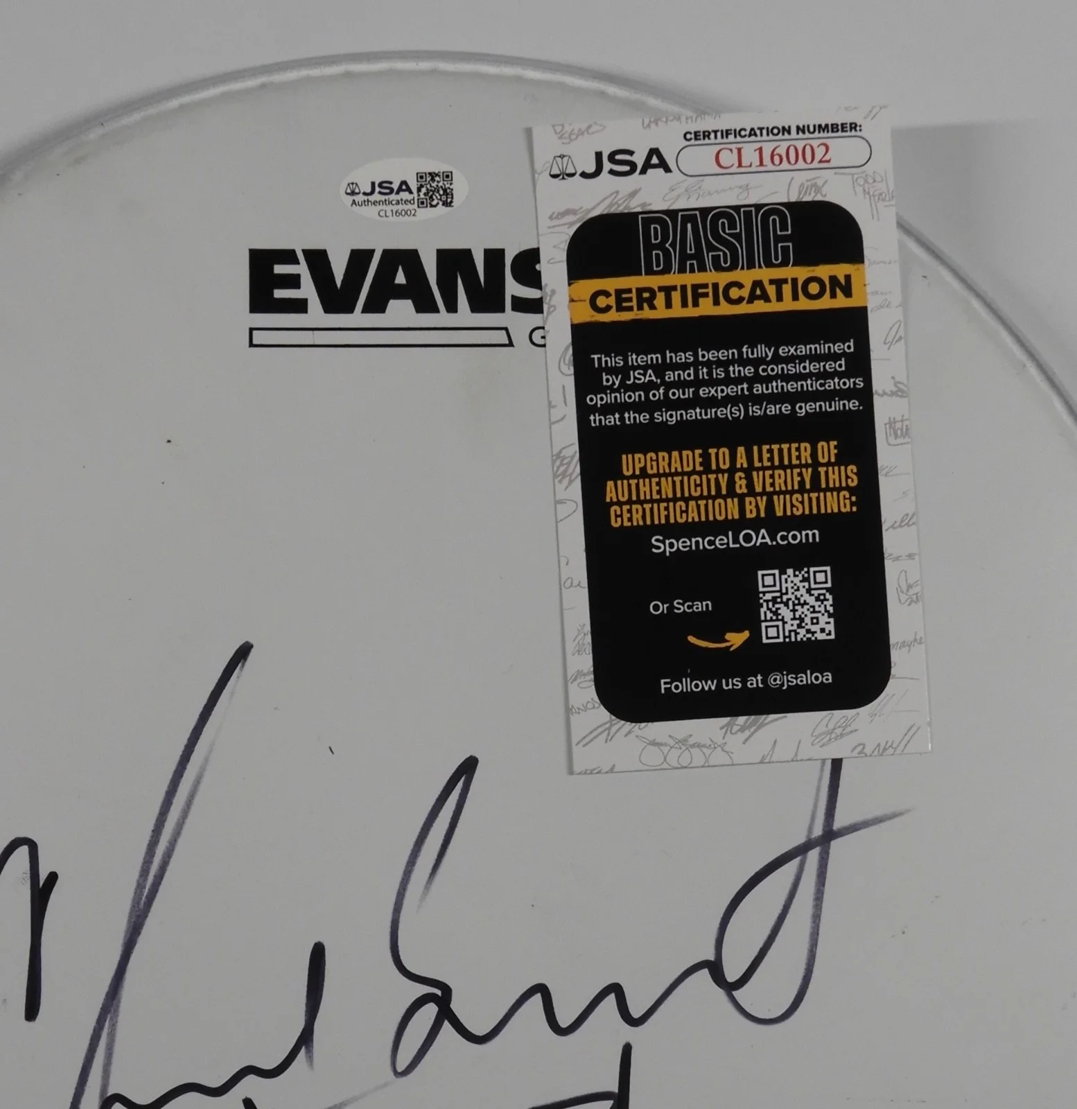 Chad Smith Red Hot Chili Peppers JSA Autograph Signed Drum Head 12" Sketch, изображение 3