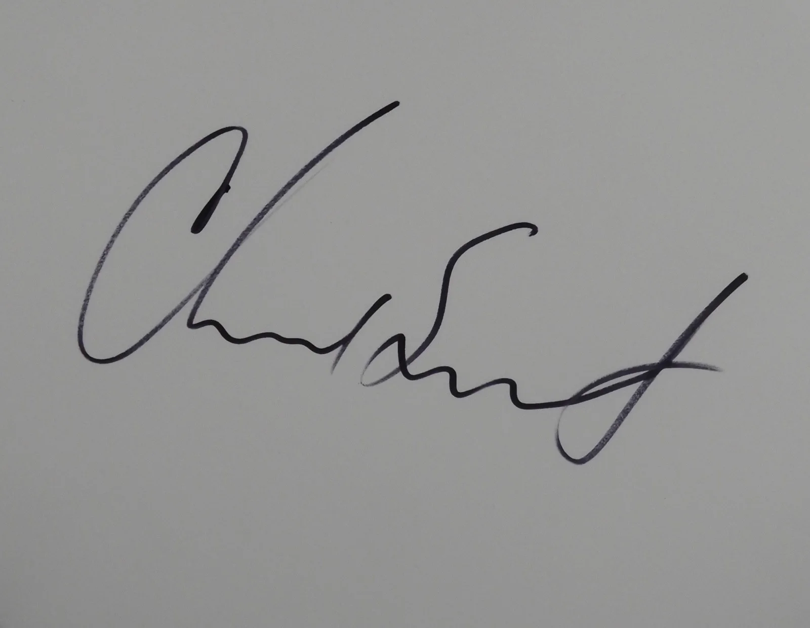 Chad Smith Red Hot Chili Peppers JSA Autograph Signed Drum Head 12", image 2