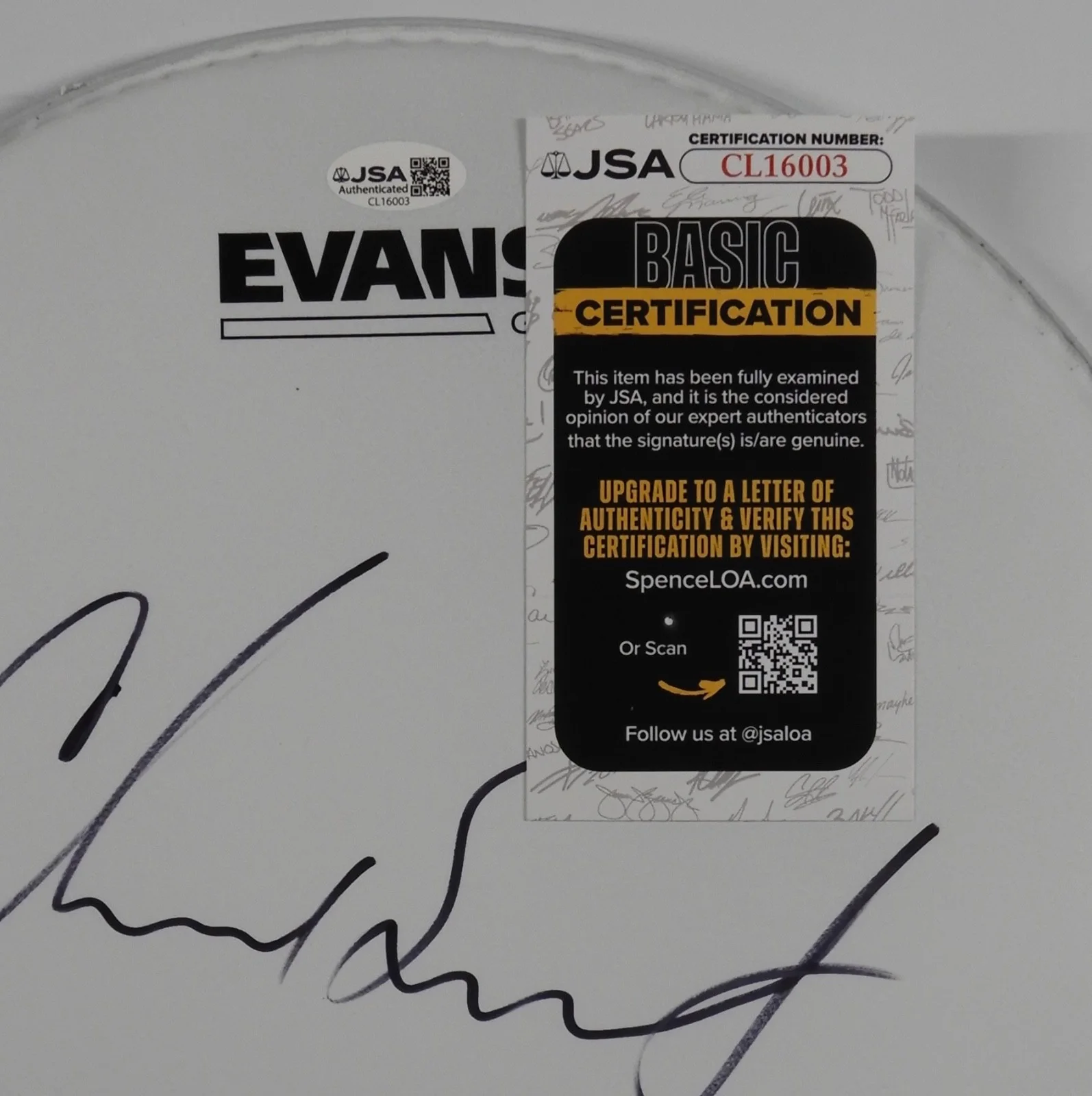 Chad Smith Red Hot Chili Peppers JSA Autograph Signed Drum Head 12", image 3