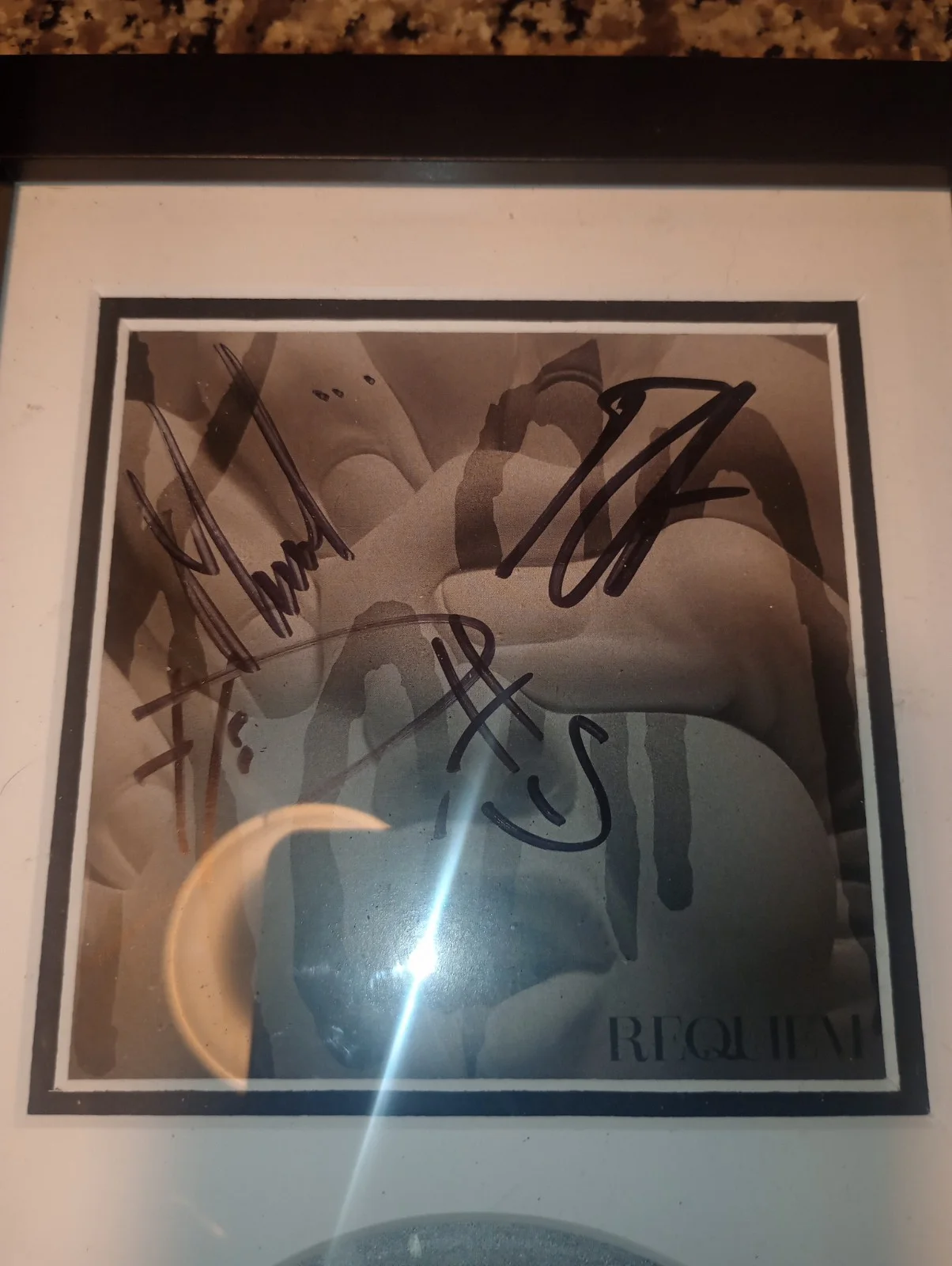Korn Requiem Original Signed CD & Booklet Framed Music AutographCOA (ACOA), изображение 2