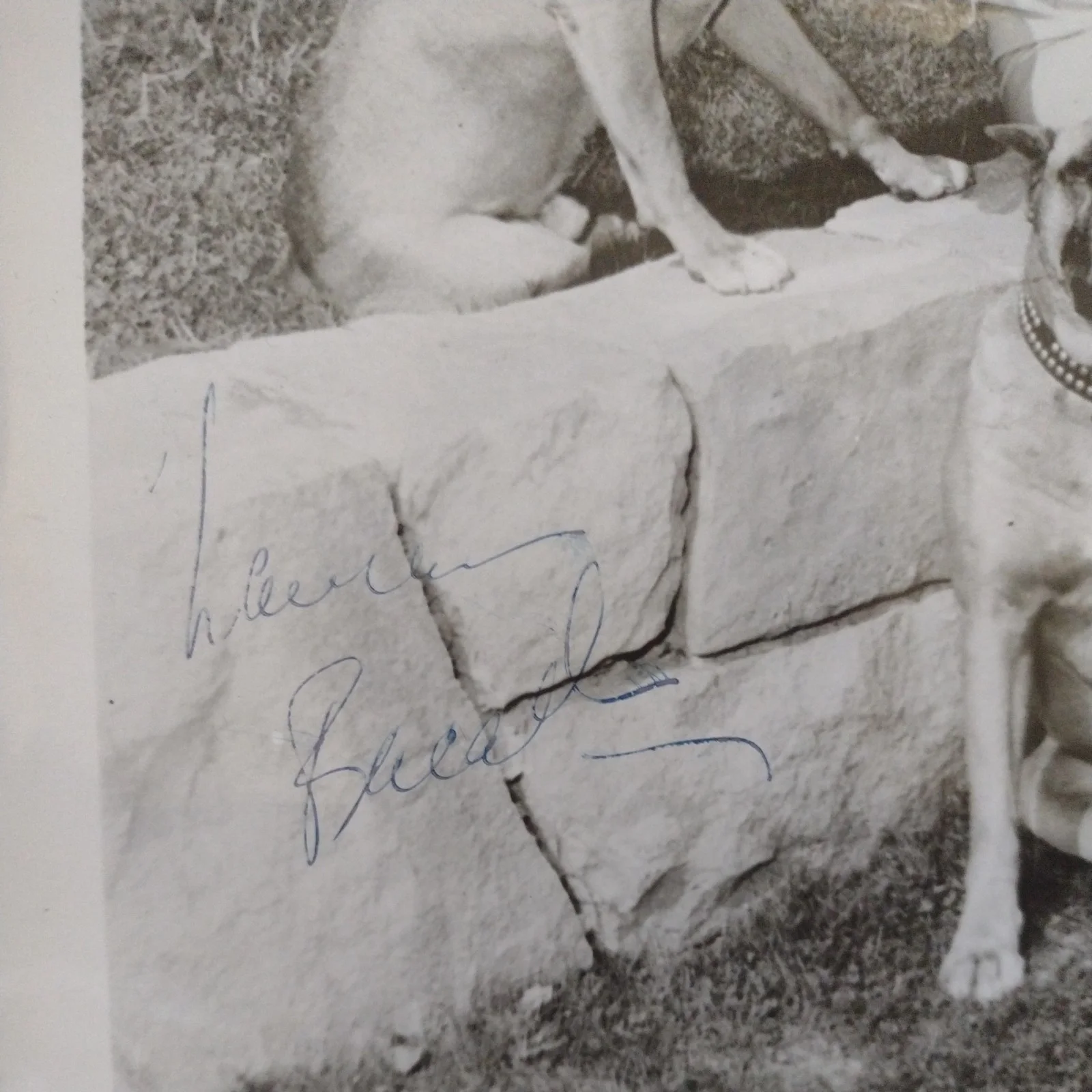 Lauren Bacall Autographed 8x10 Photo, image 3