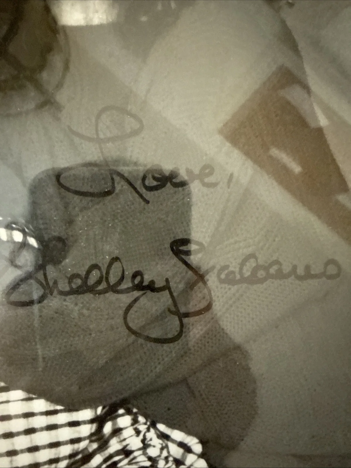 Shelley Fabares — Shelley Fabares Signed 8x10 Photo (To Kathy All Good Wishes To You- Love Shelley, изображение 3