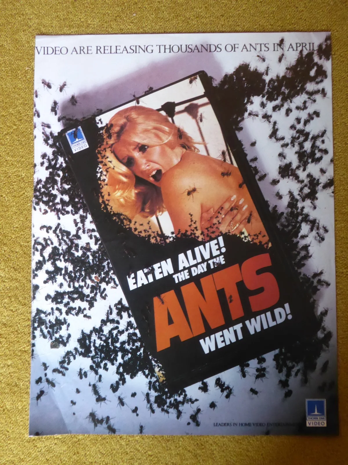 Original 1980s Video Trade Mag Wrong Time Wrong Place/Ants Adult DPP Pre Cert, изображение 2
