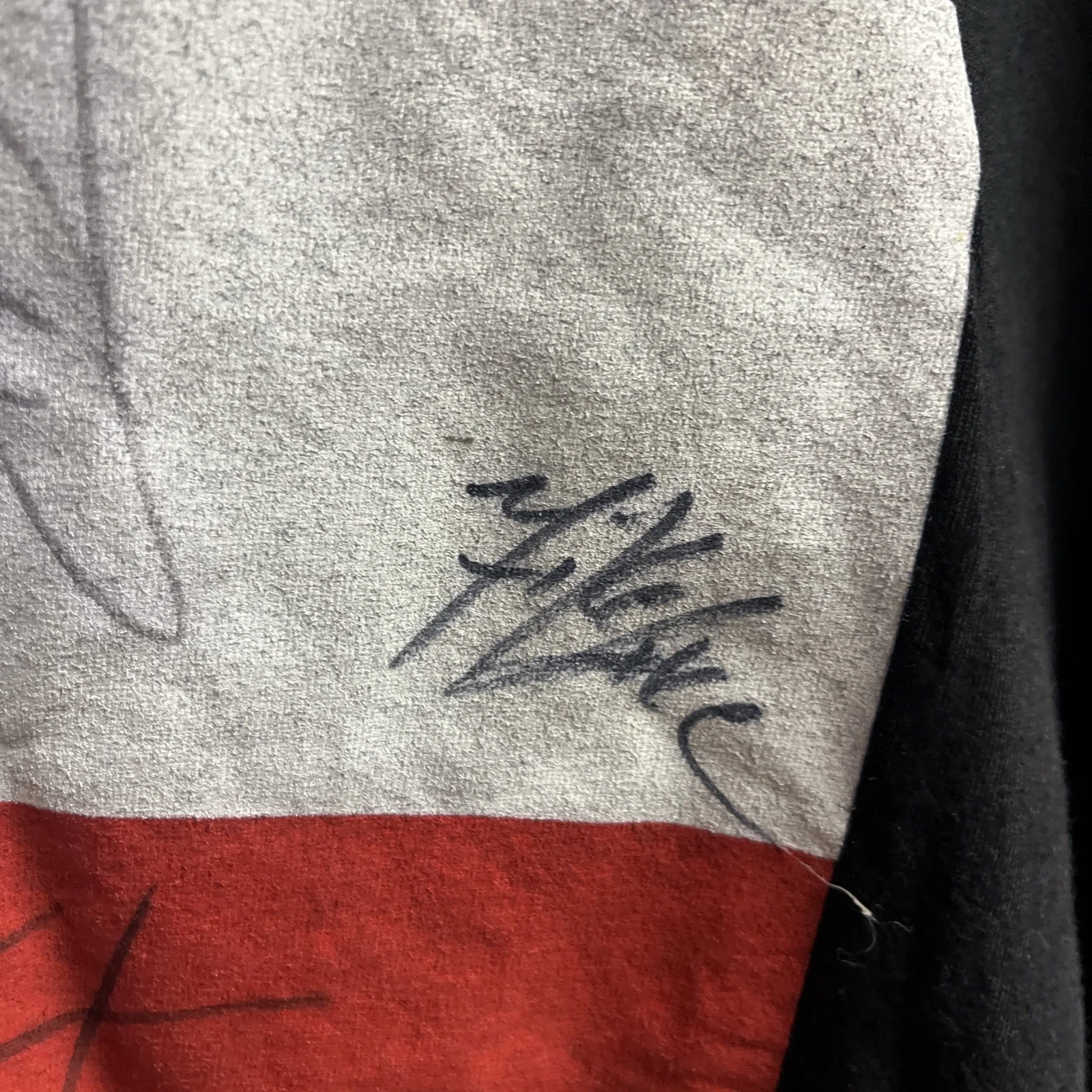 DROWNING POOL 2002 World Tour AUTOGRAPHED SHIRT., image 5