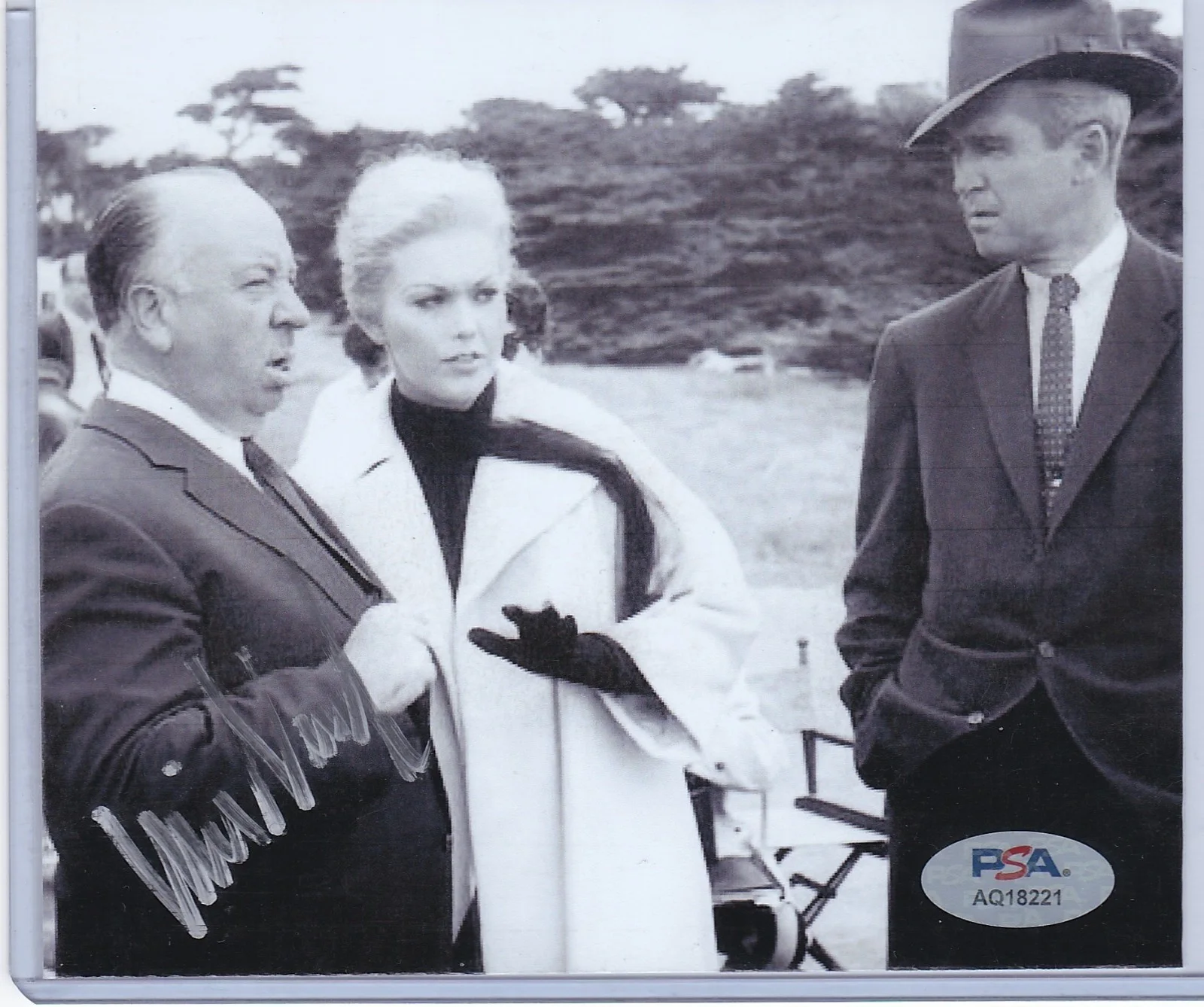 Kim Novak — KIM NOVAK PSA DNA AUTOGRAPHED SIGNED 6" X 5" PHOTO W/HITCHCOCK, JIMMY STEWART