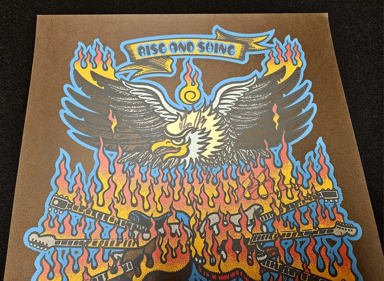 5 Signatures 387/450 Ltd Ed MOE Print Concert Poster EAGLE 2009 Denver NY Chicag, изображение 2